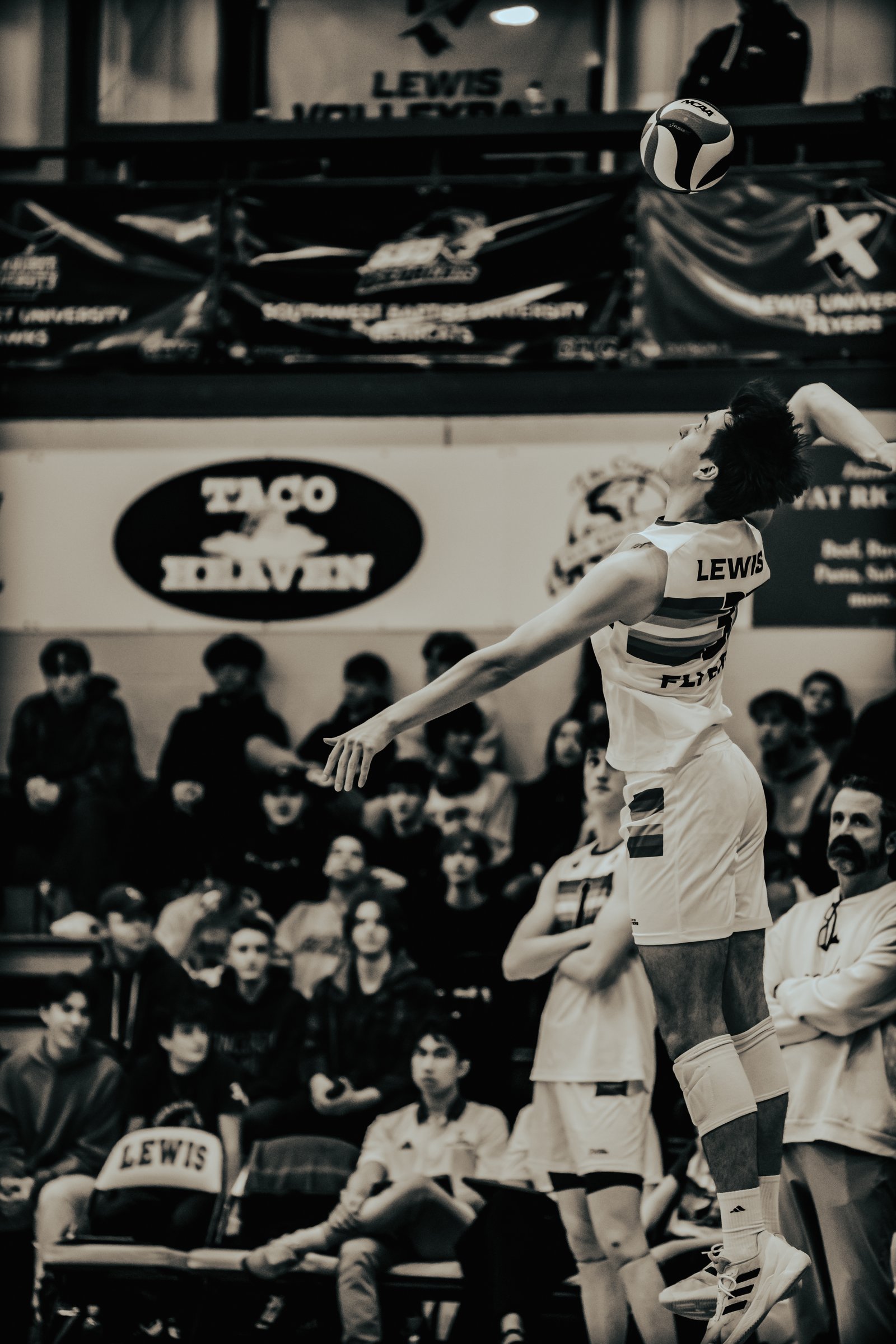 Lewis Flyers vs CSUN