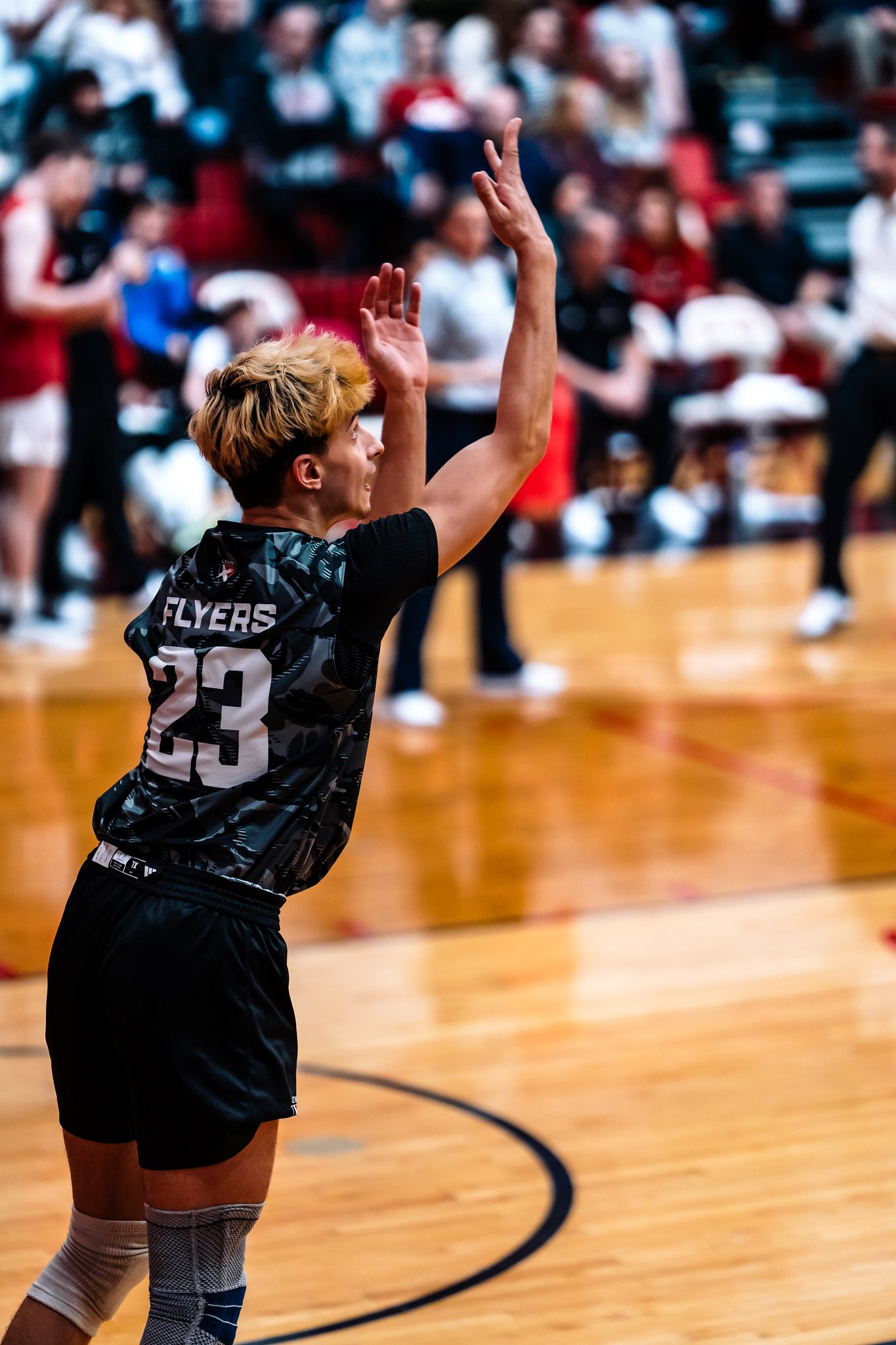 Lewis vs Ohio State - Mar 22