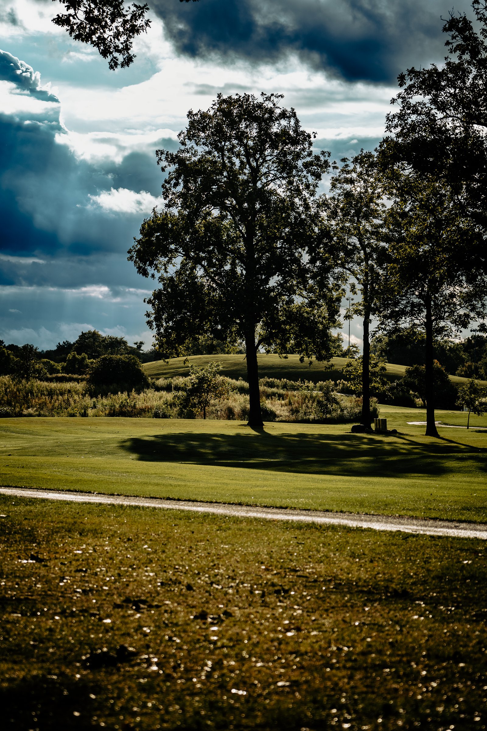 ACC Boys Golf - Sep 13