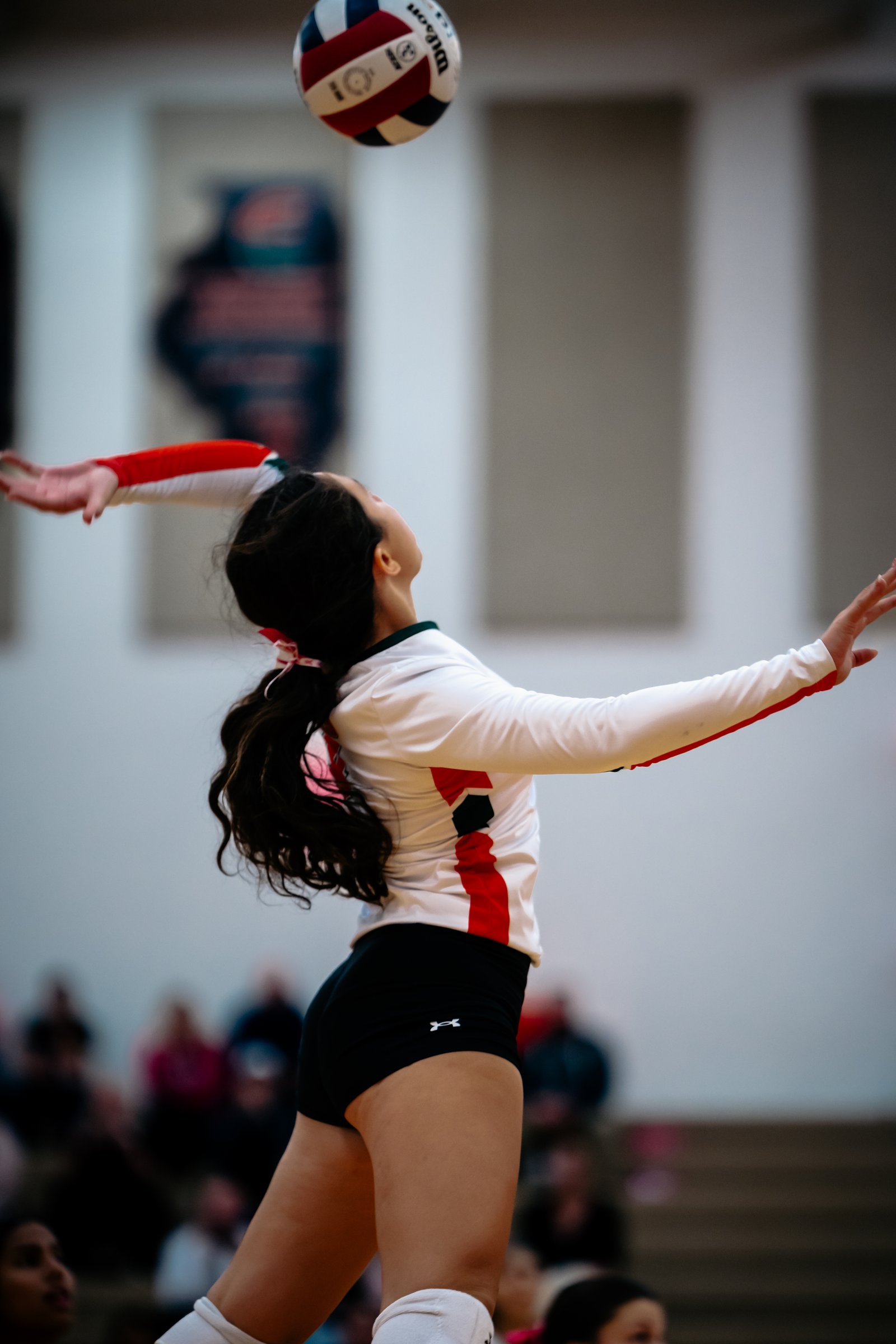 PEHS Girls VB - Dig Pink