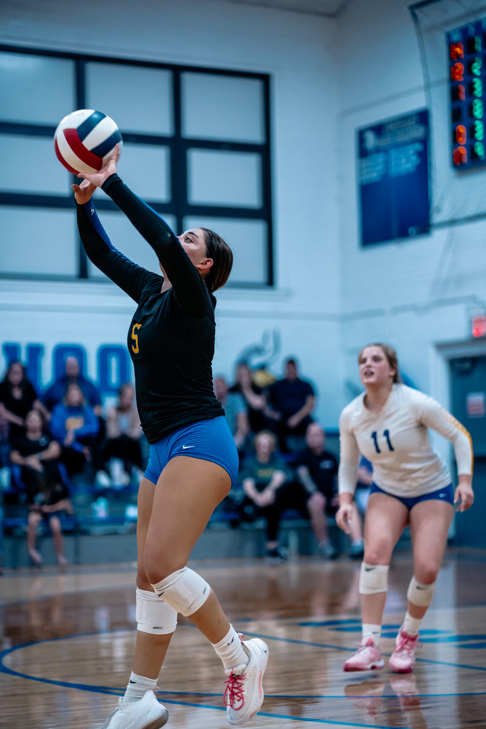ACC Volleyball at Newark