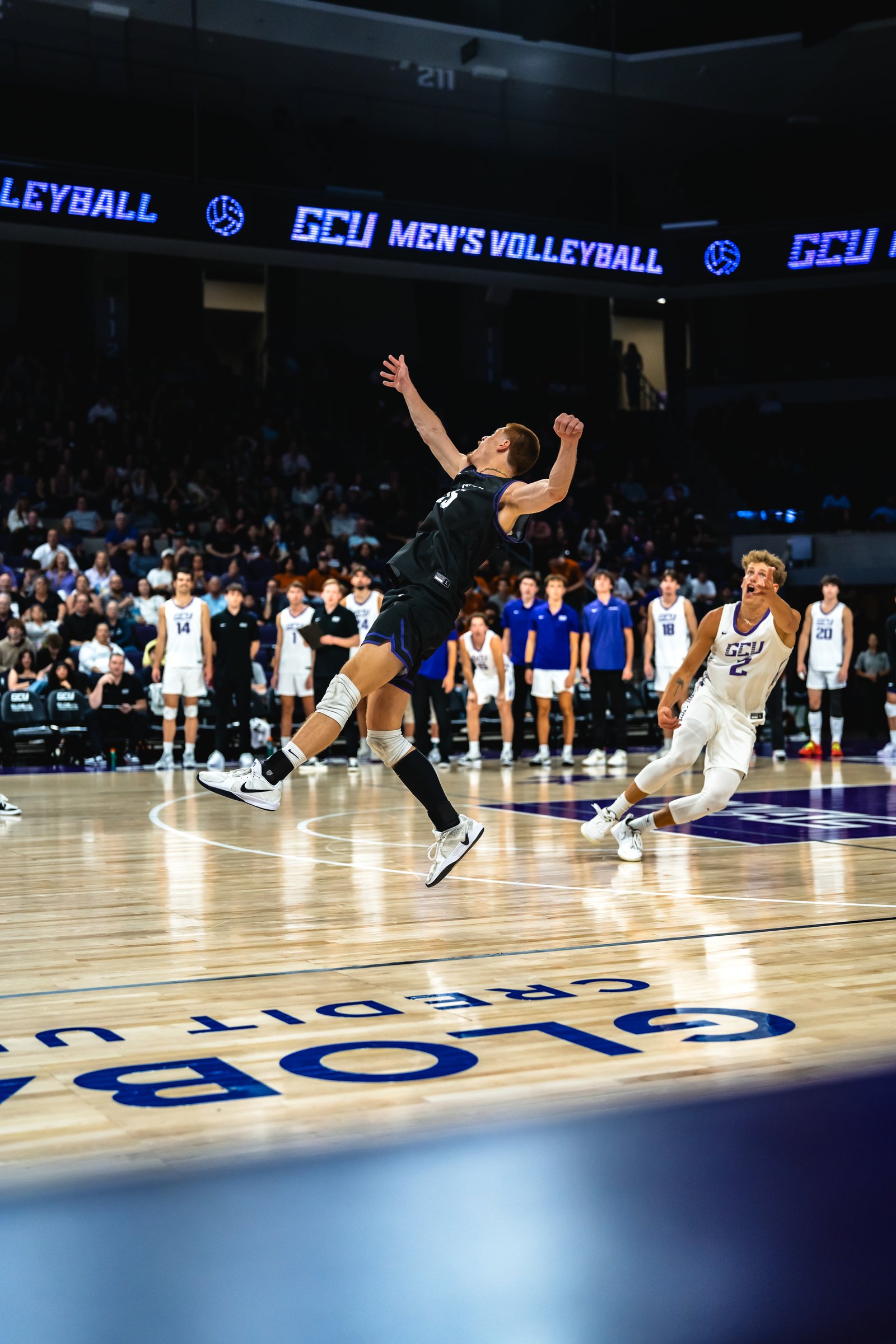 GCU vs UCLA