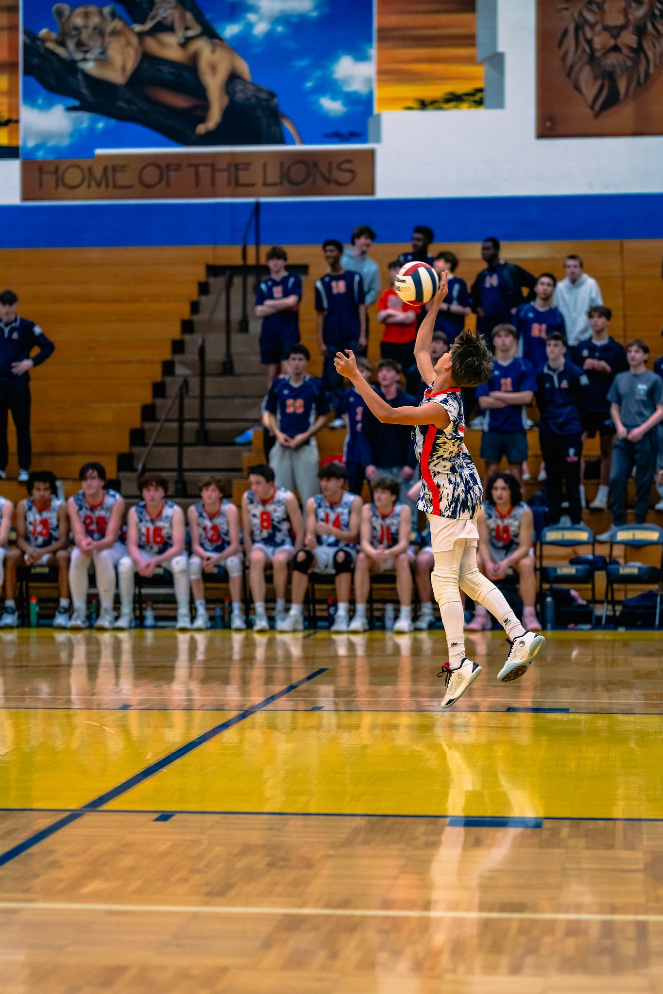 BVB OPRF at Lyons Township