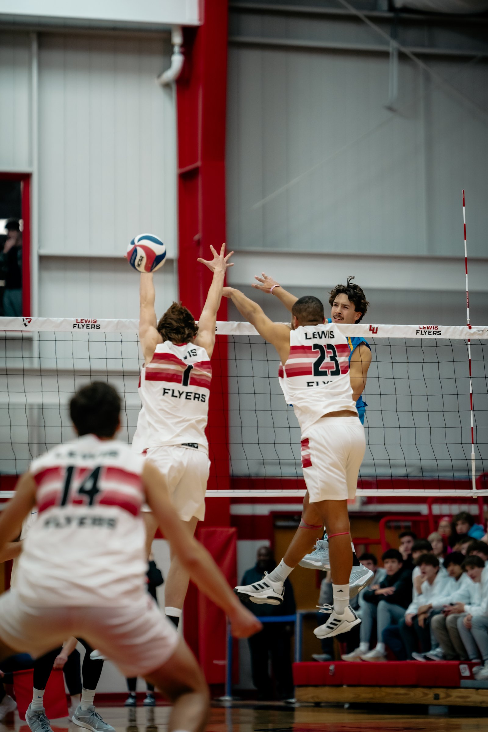 2024 Men's VB - Lewis vs UCLA 11-Jan
