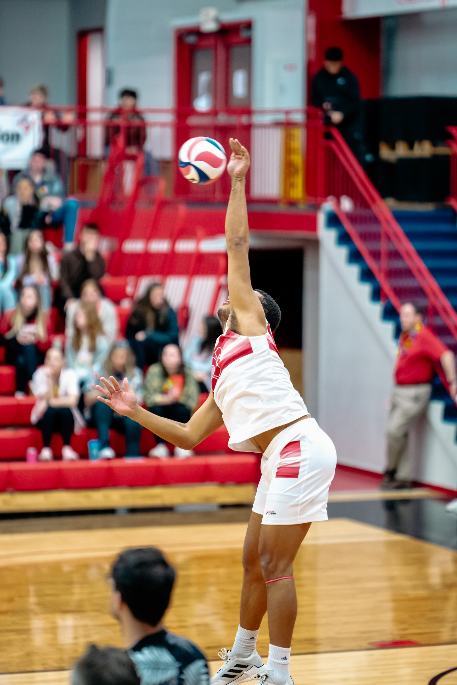 2024 Men's VB - Lewis vs Lindenwood