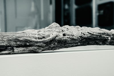 A detailed view of carved driftwood.