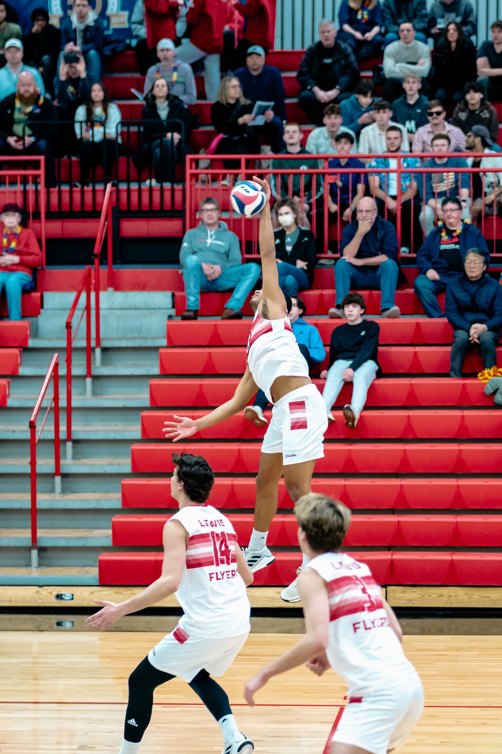 2024 Men's VB - Lewis vs Lindenwood