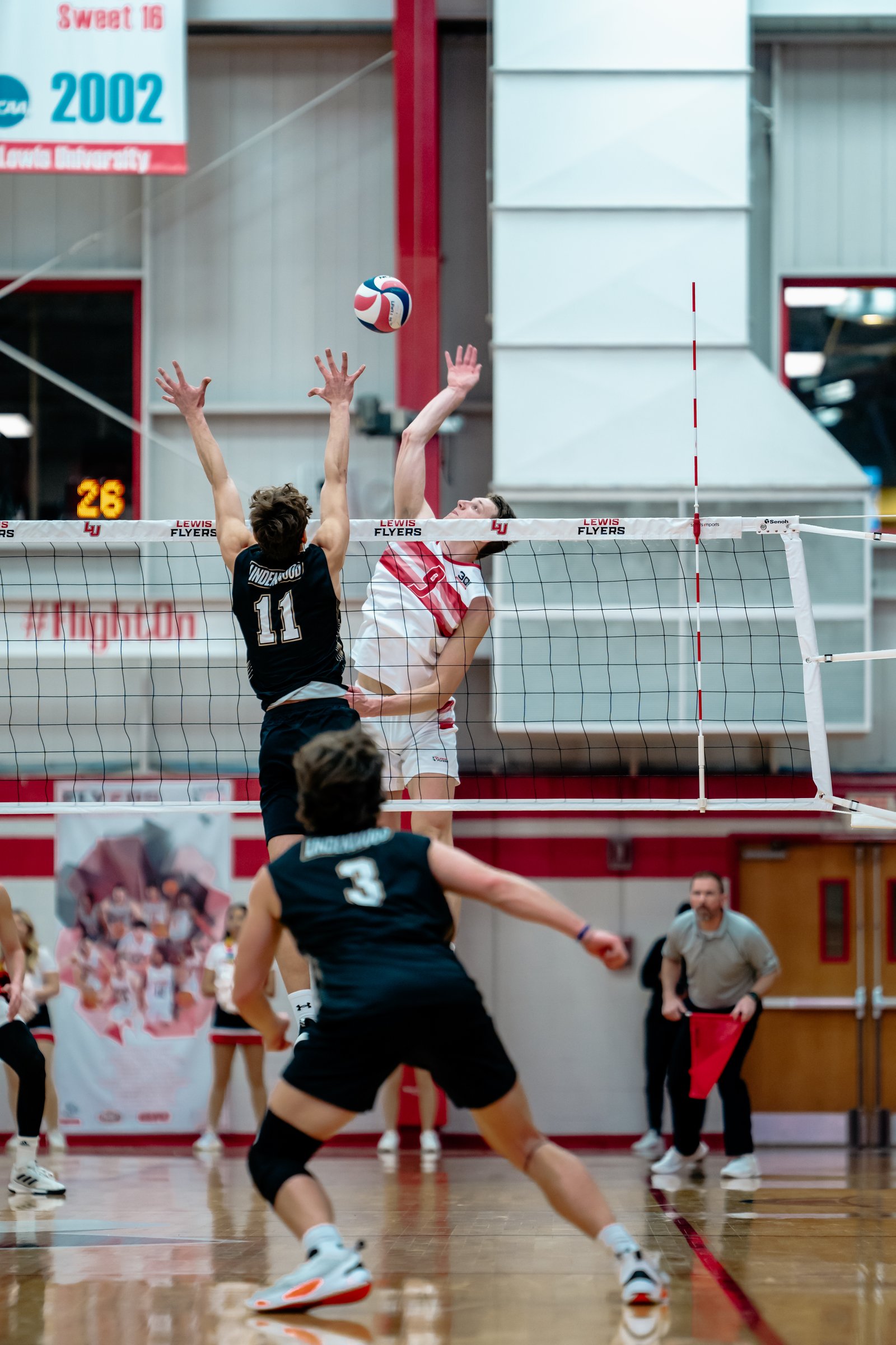 2024 Men's VB - Lewis vs Lindenwood