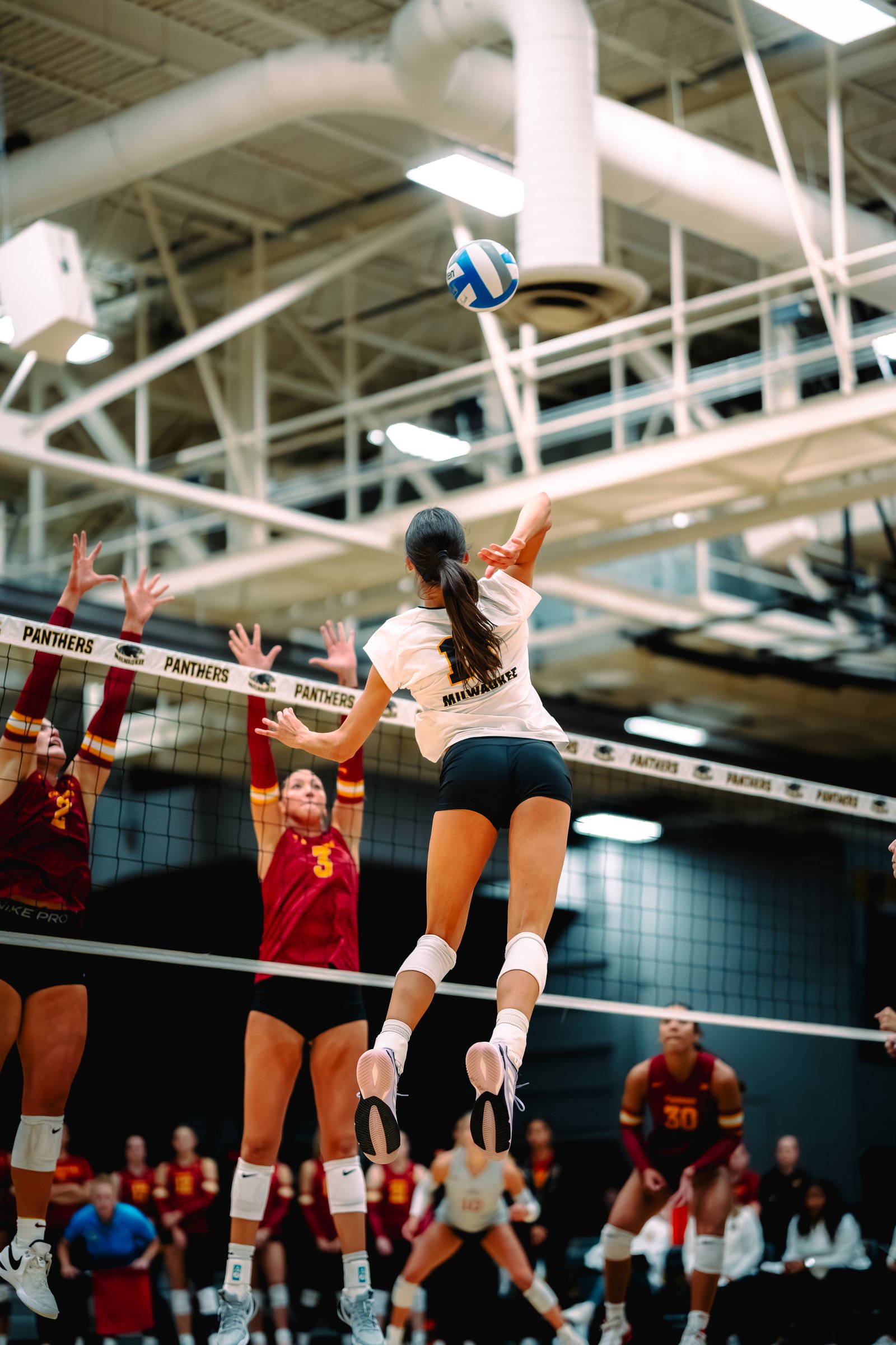 UW-Milwaukee Panther Invite