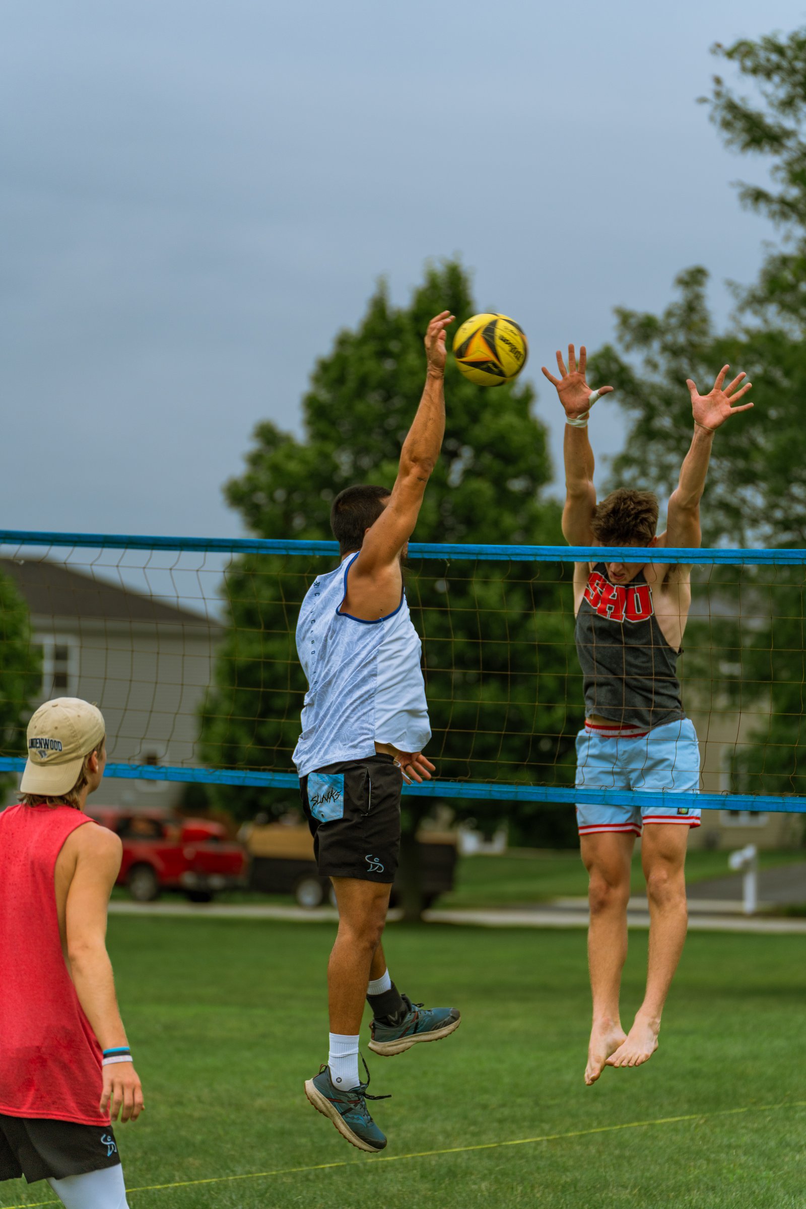 Bell Pepper Open – Official Gallery