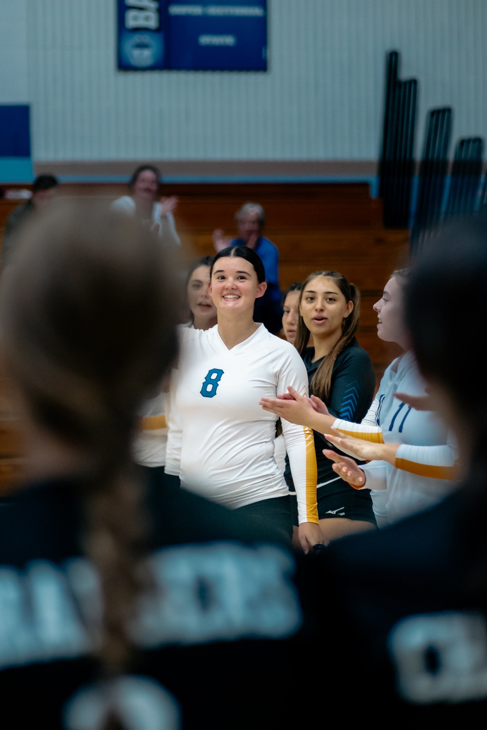 ACC Volleyball at Hinckley-Big Rock