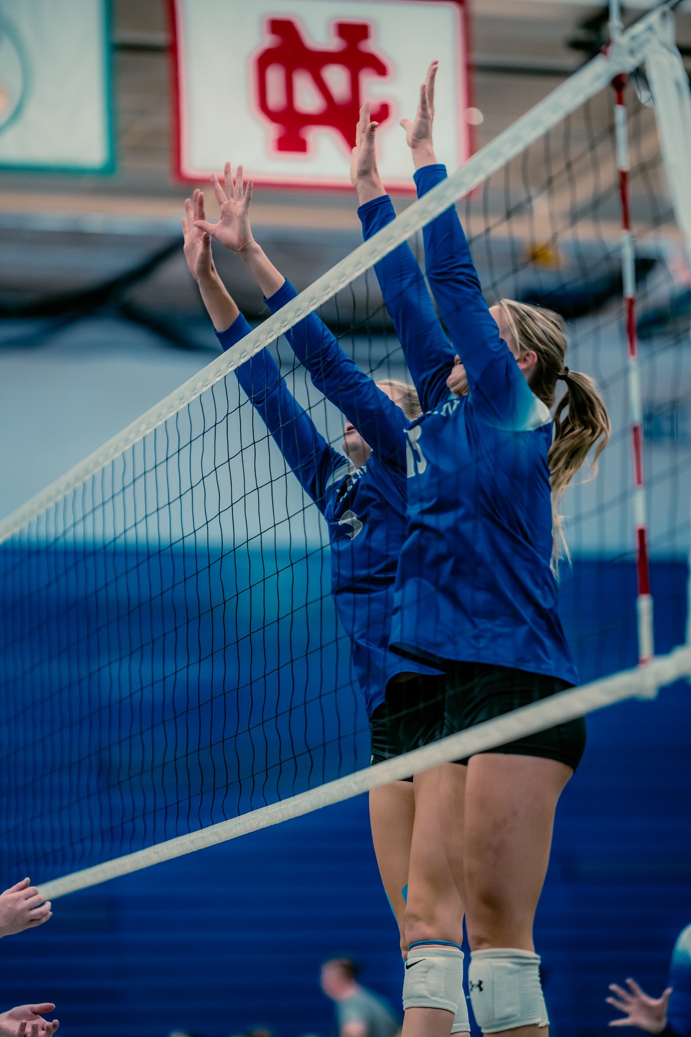 Millikin Women's Volleyball Senior