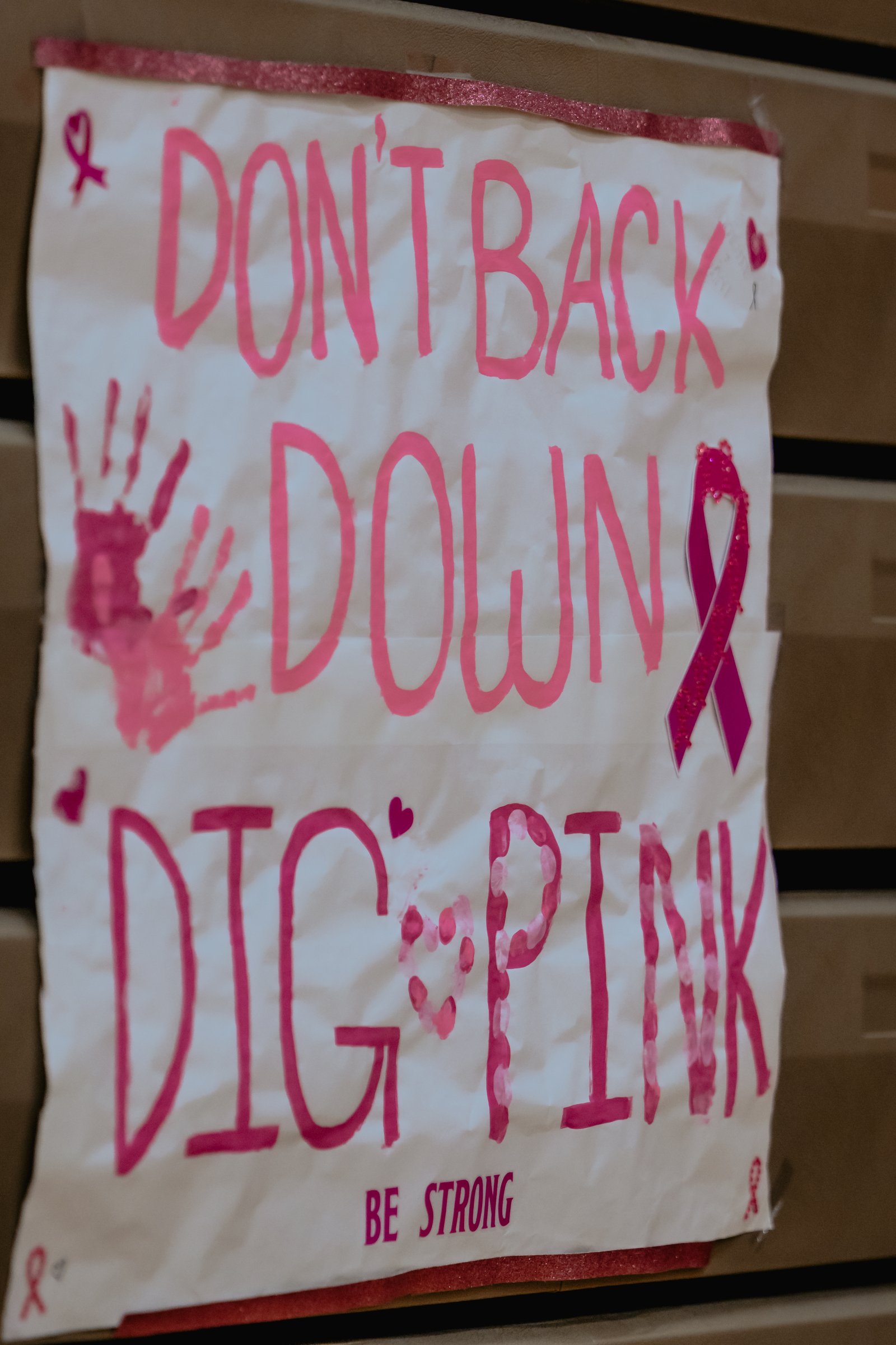 PEHS Girls VB - Dig Pink
