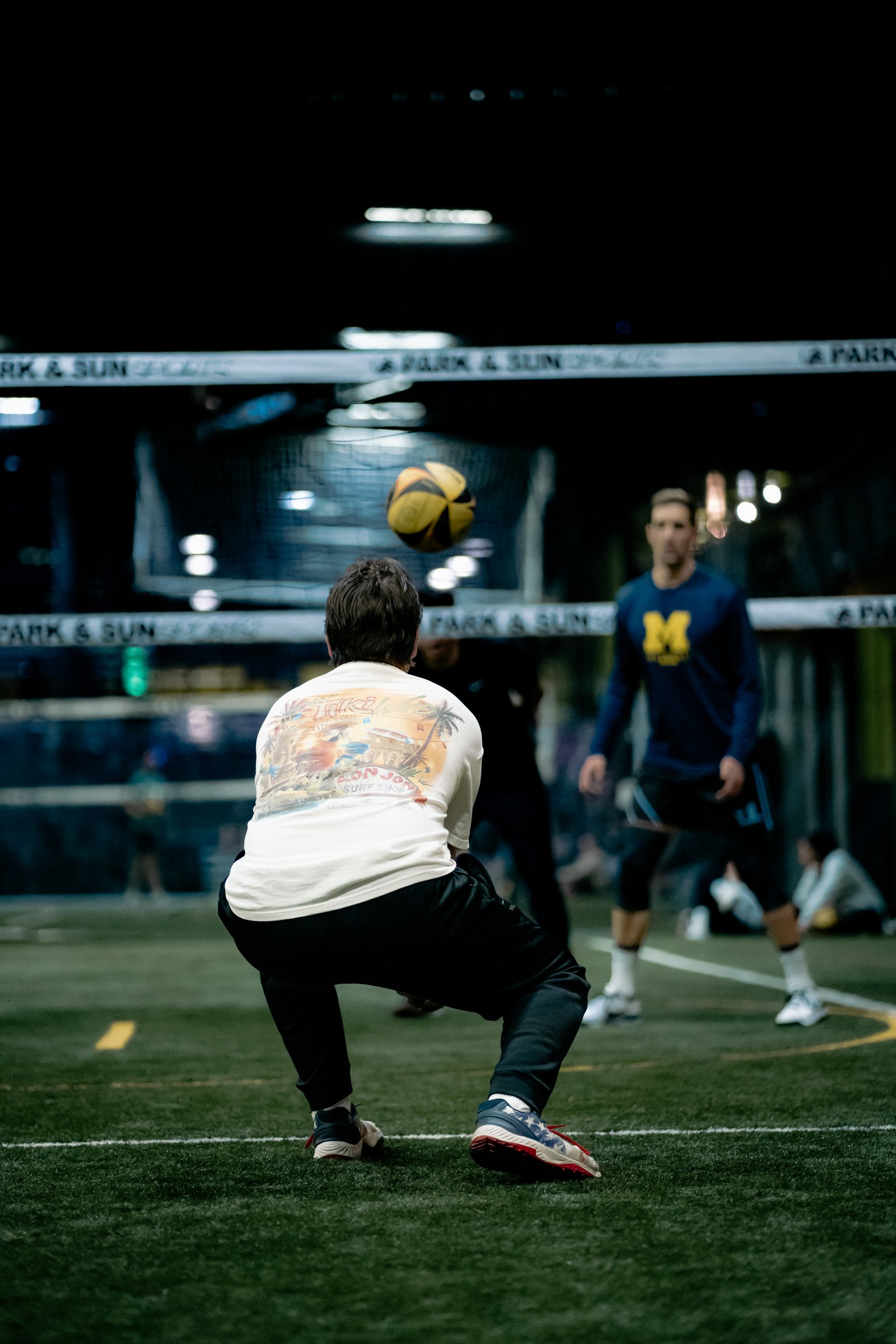 Players Sports Winter Grass Luau