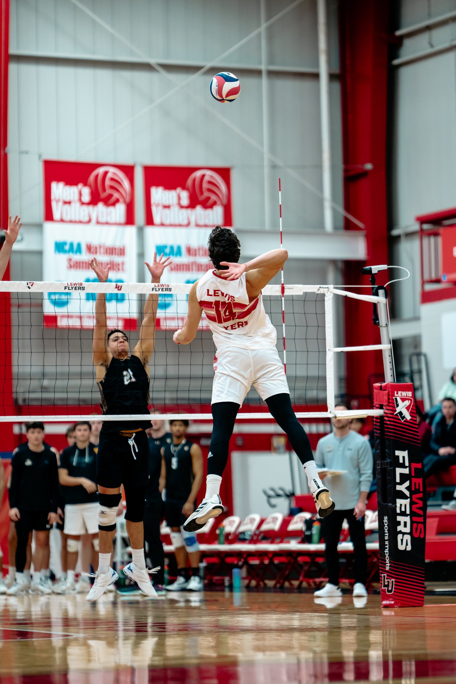 2024 Men's VB - Lewis vs Lindenwood