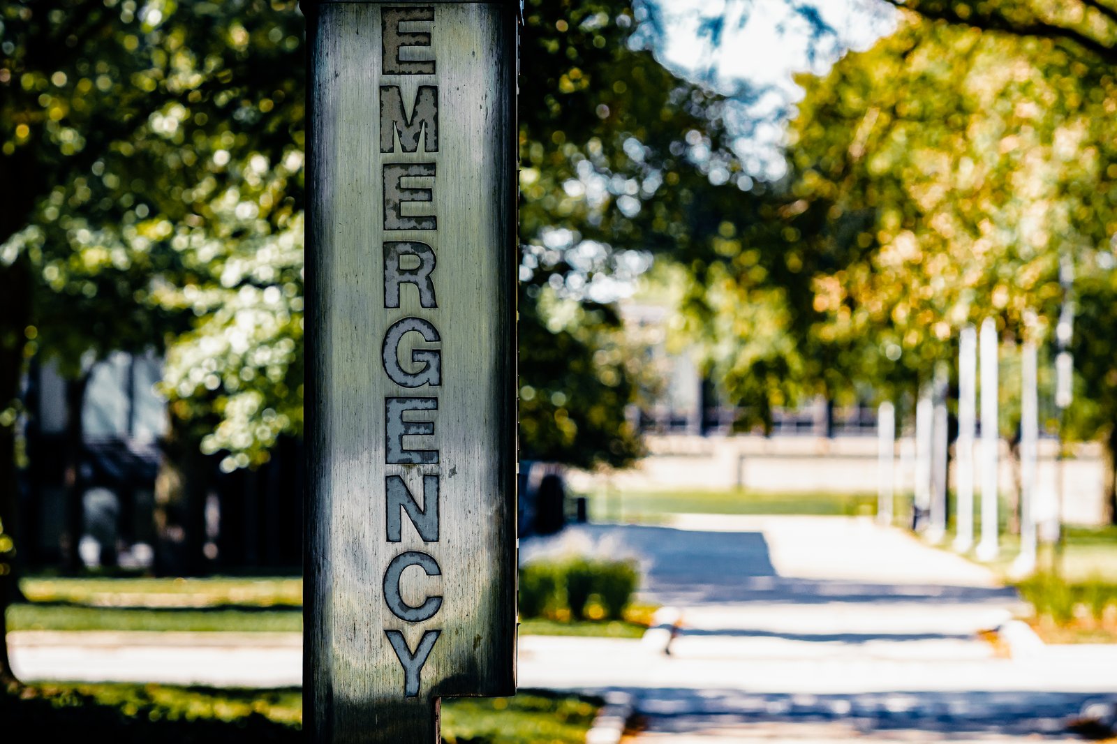 Illinois Institute of Technology