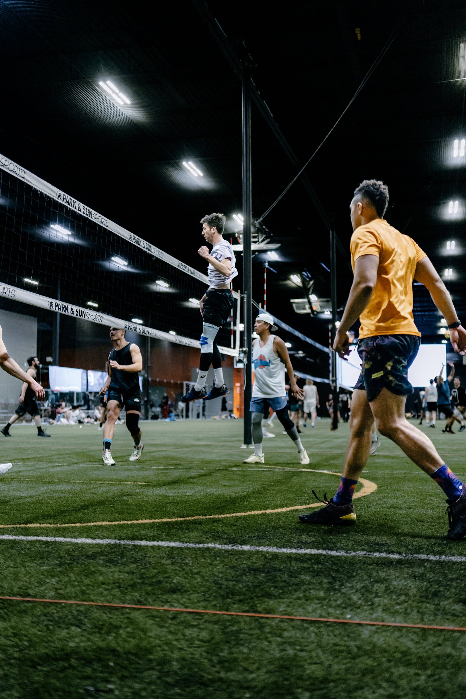 Players Sports Winter Turf Luau