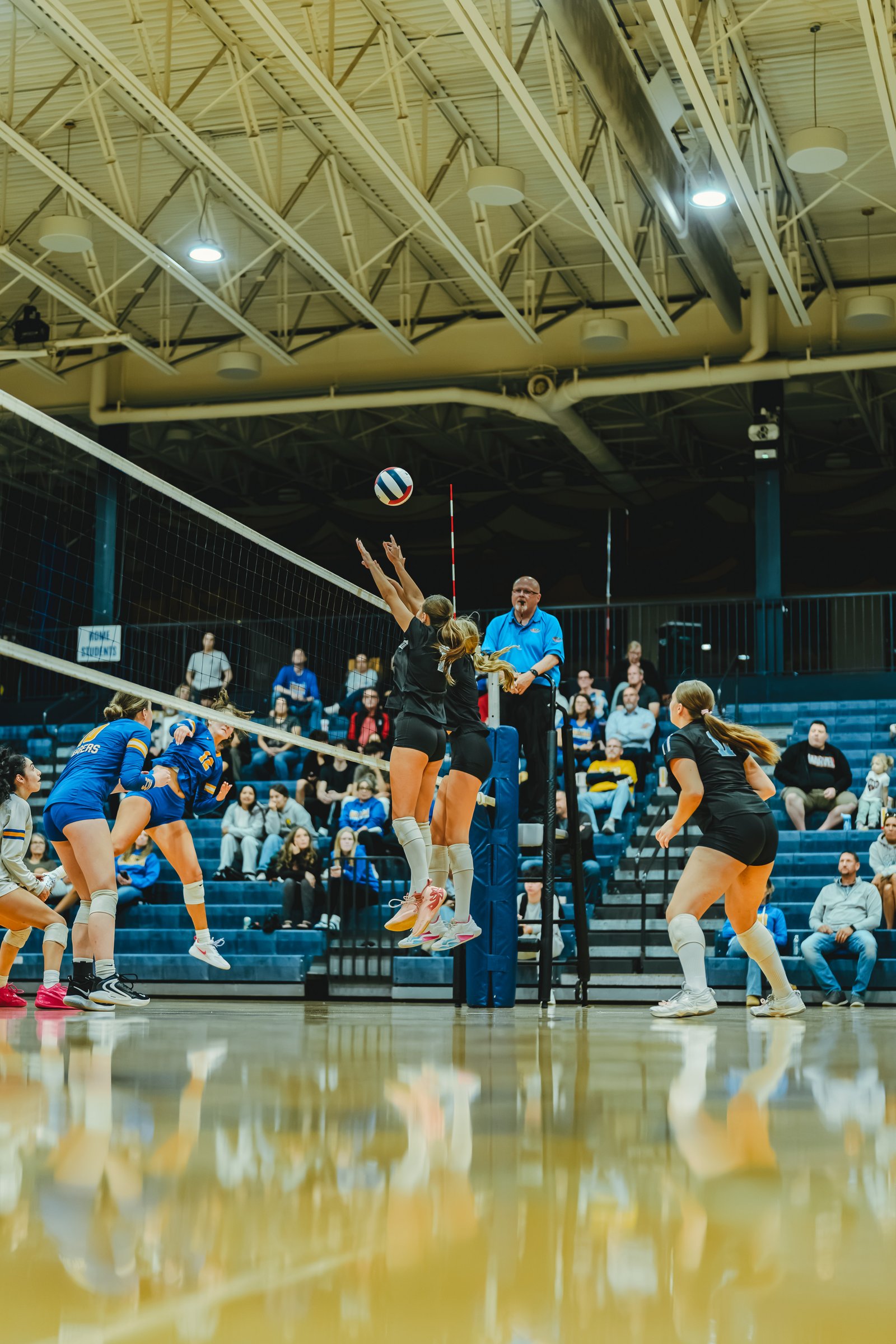 Players in black and blue uniforms jump to hit the volleyball over the net, with a player in blue number 12 visible.
