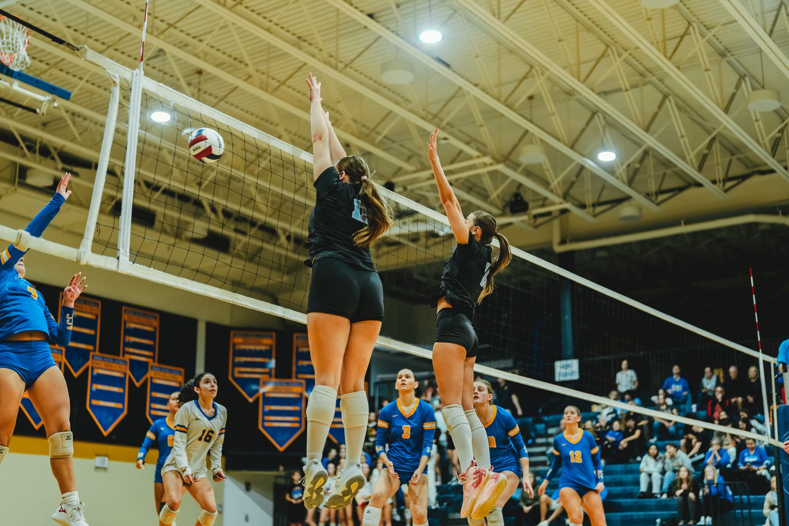 A player in black jumps to hit the volleyball over the net, while players in blue and white watch.