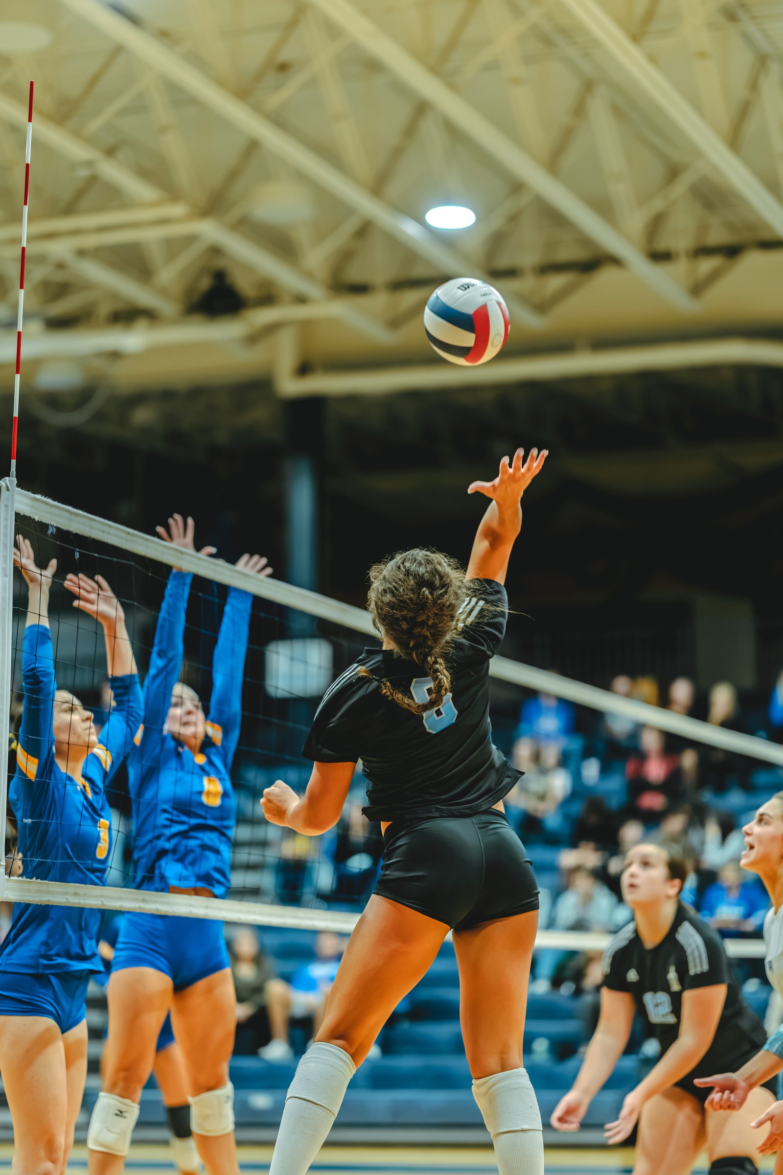 A player in black with jersey number 8 jumps to hit the ball over the net, while players in blue with jersey numbers 3 and 5 attempt a block.