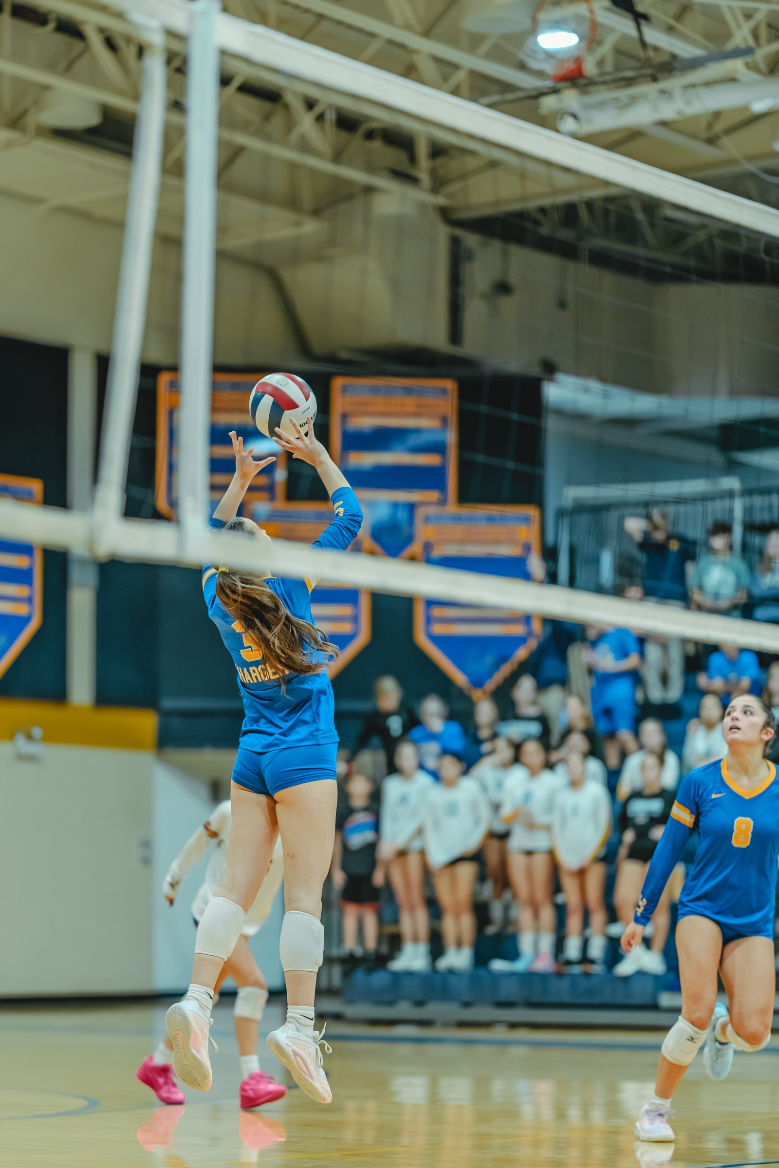 A player in blue with jersey number 5 sets the volleyball as a player in blue with jersey number 8 watches.