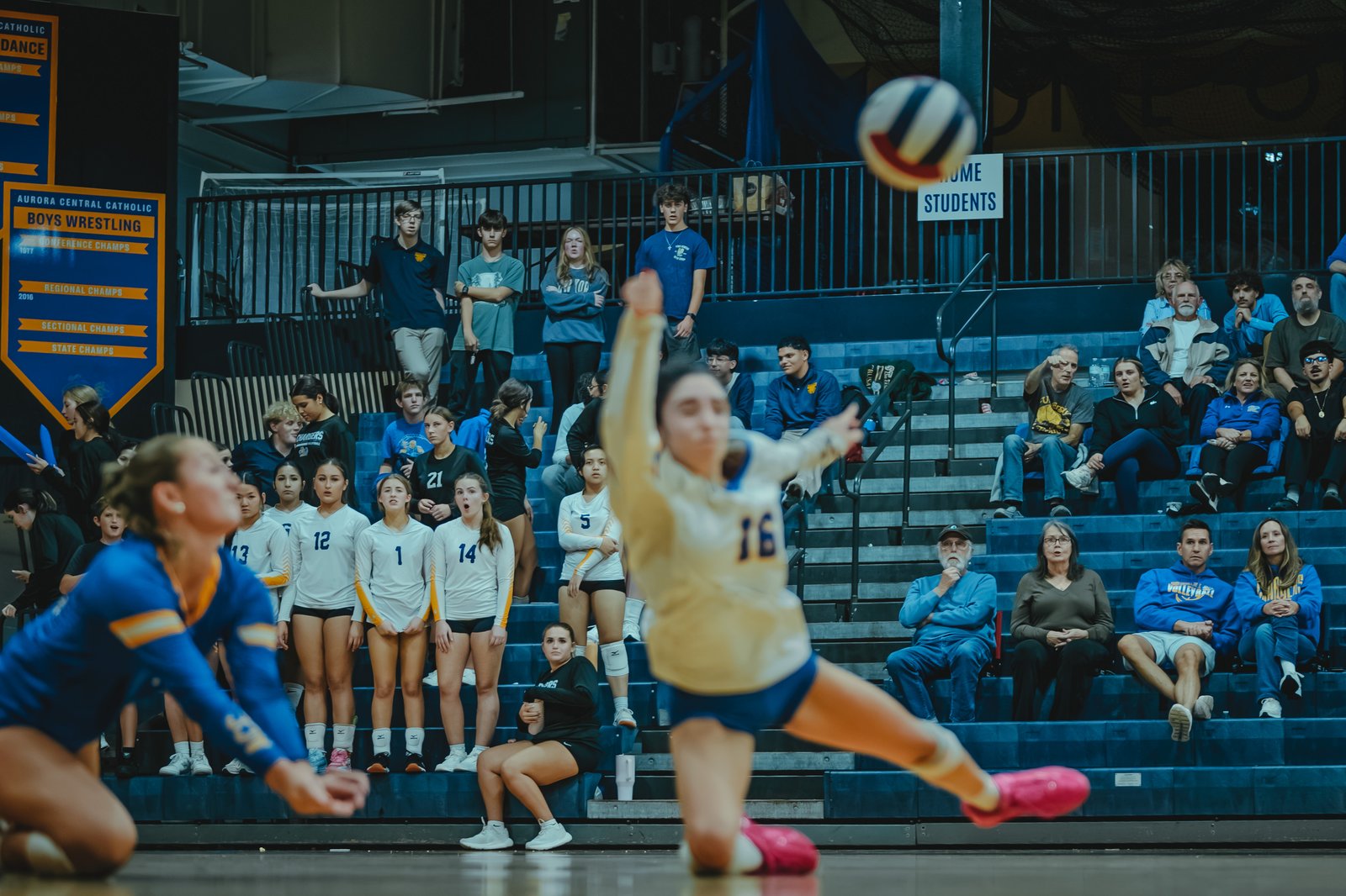 A player in white with blue numbers digs a volleyball as players in white with blue numbers 1, 12, 13, 14, 5 and a player in blue number 16 watch.