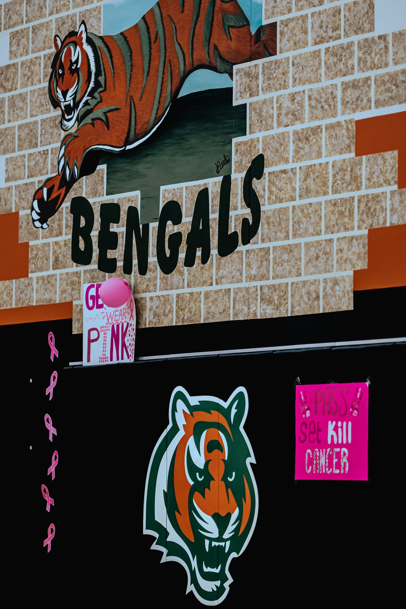 PEHS Girls VB - Dig Pink