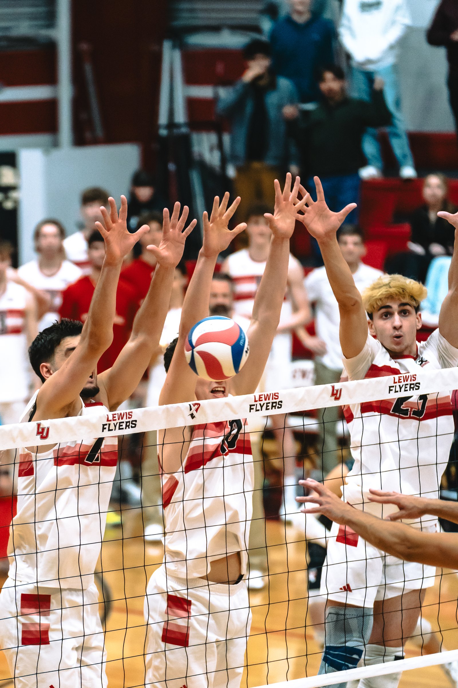 Lewis Flyers vs CSUN