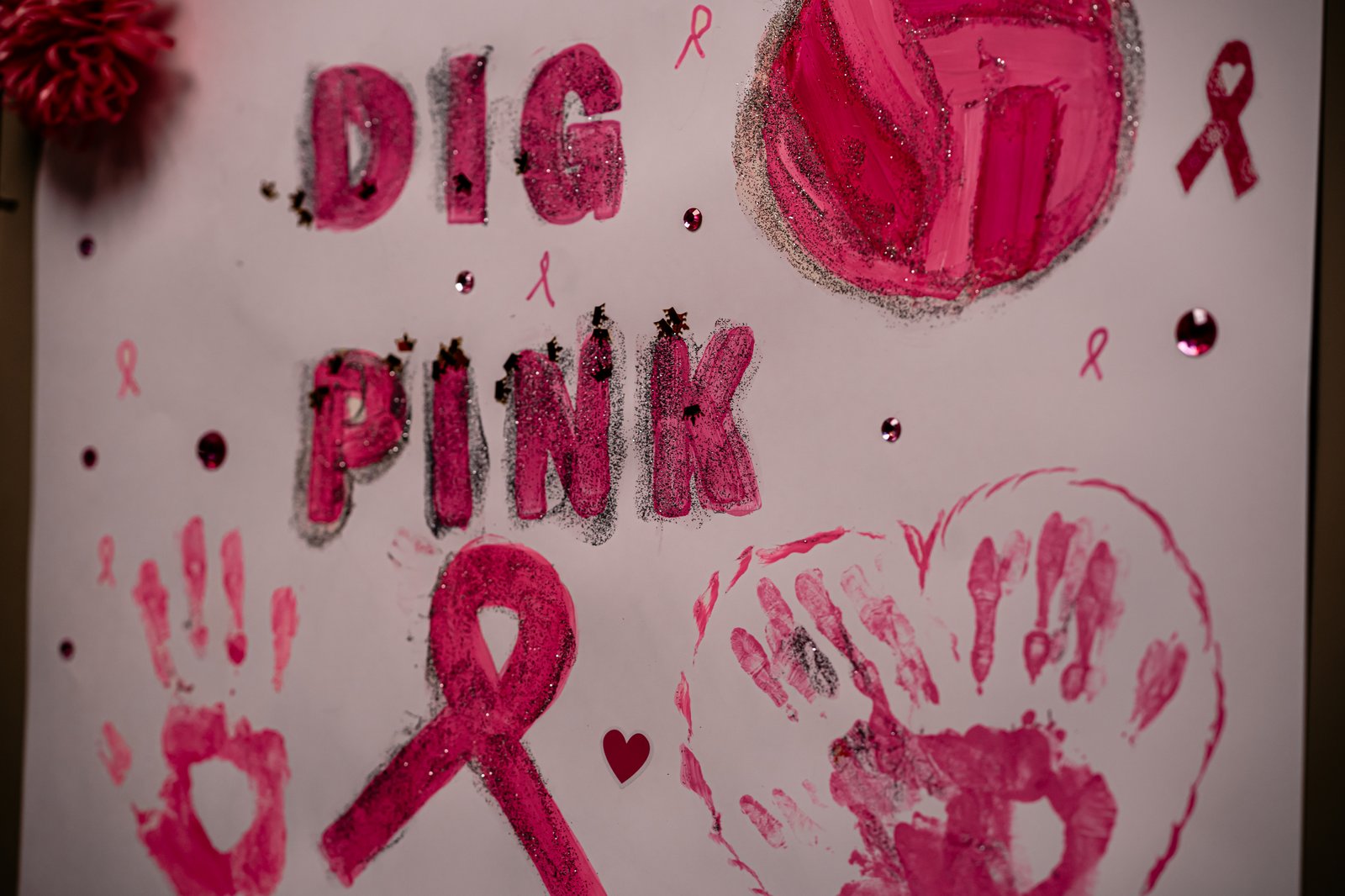 PEHS Girls VB - Dig Pink