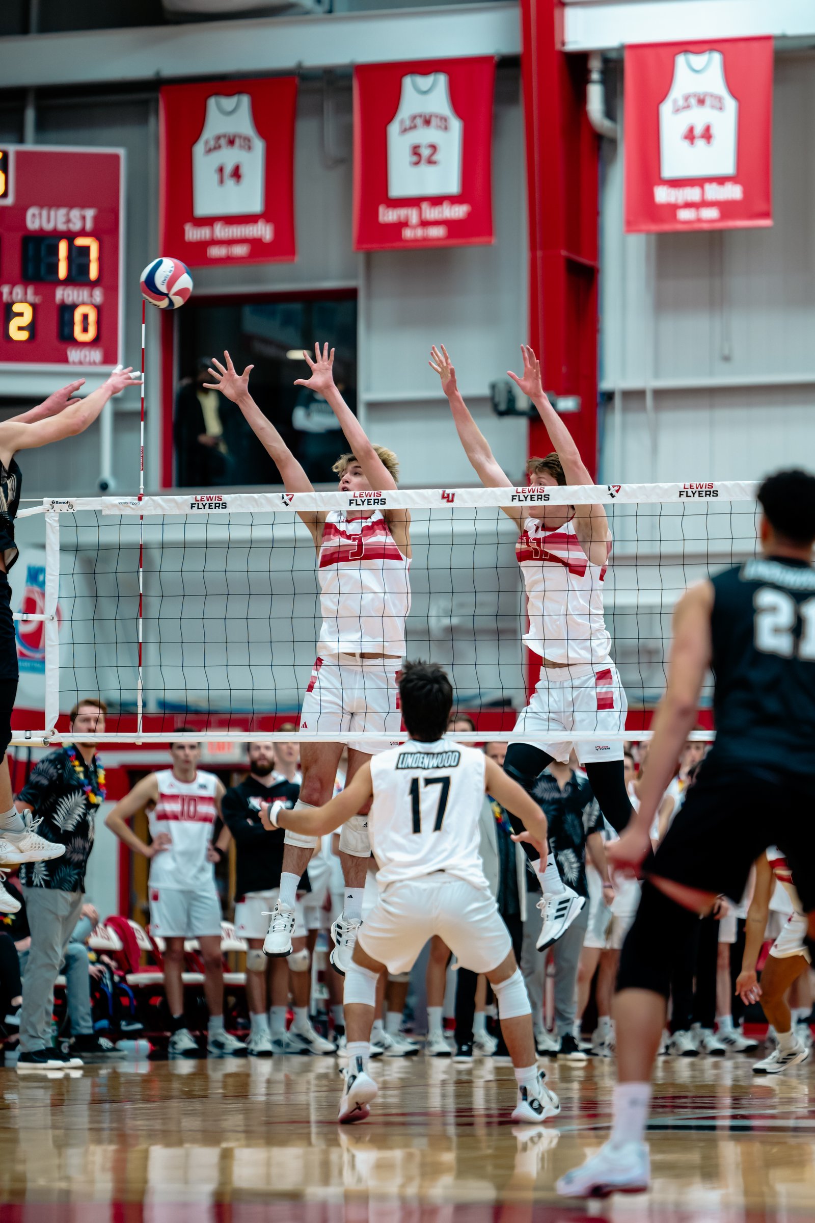 2024 Men's VB - Lewis vs Lindenwood