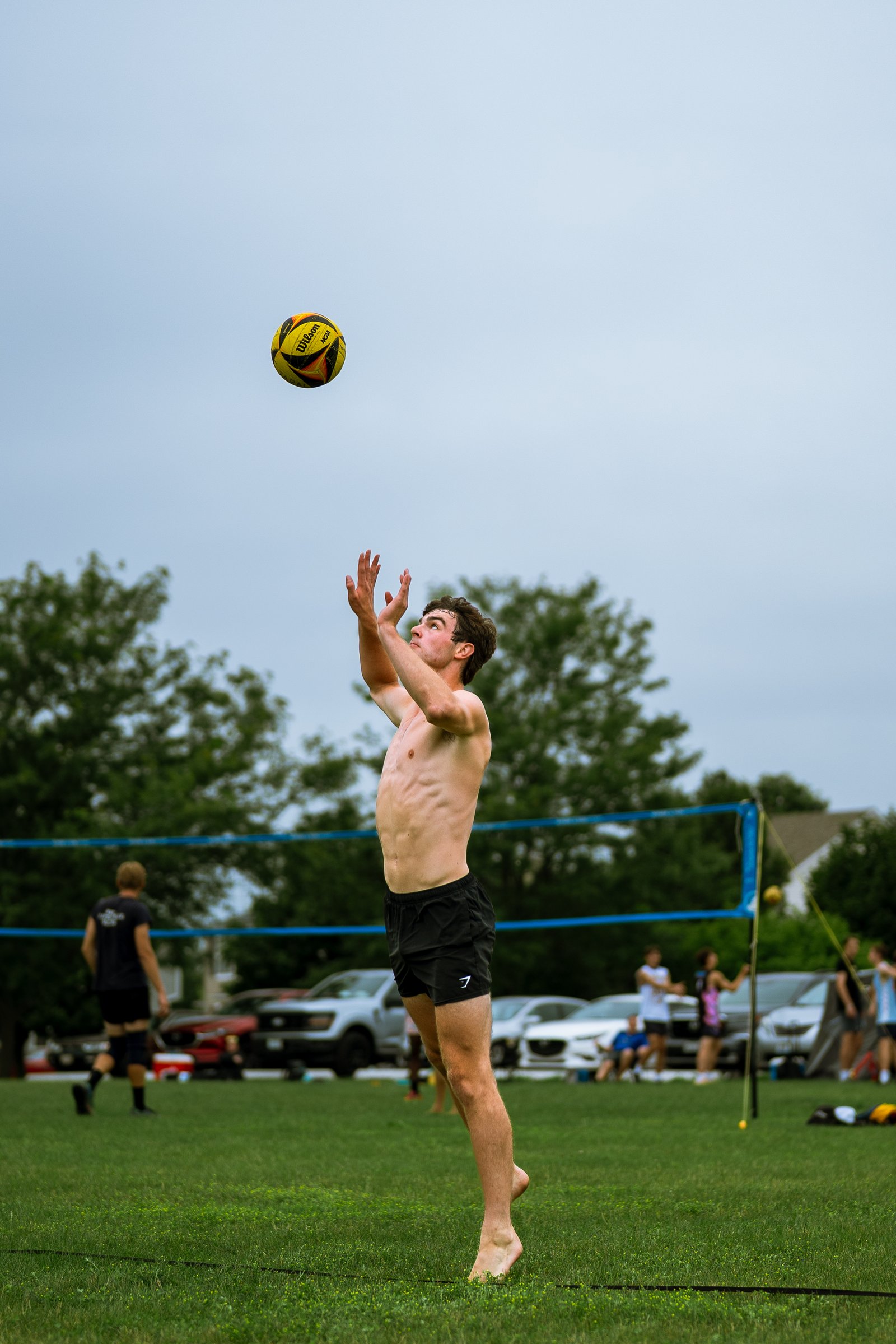Bell Pepper Open – Official Gallery
