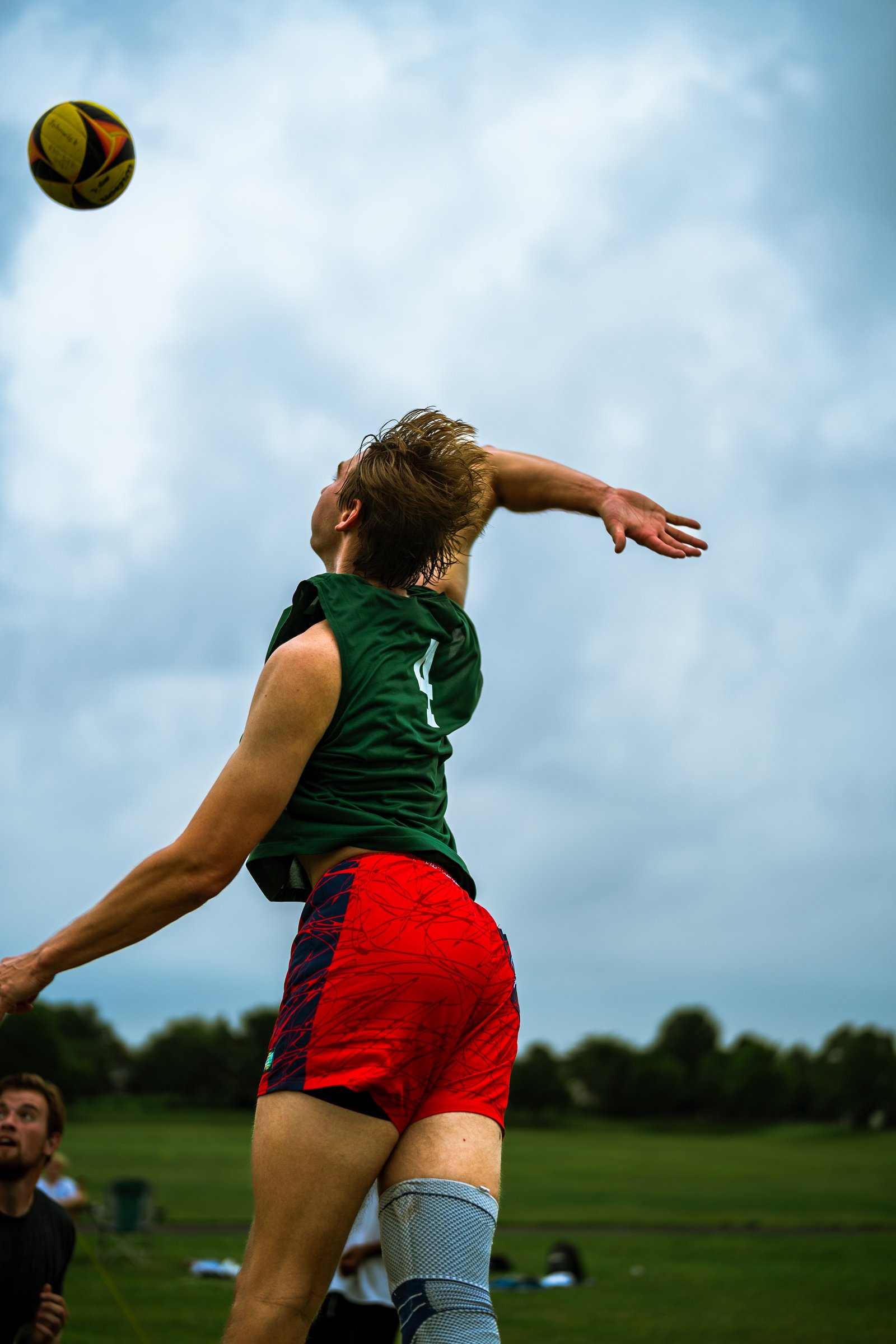 Bell Pepper Open – Official Gallery - Jan 1