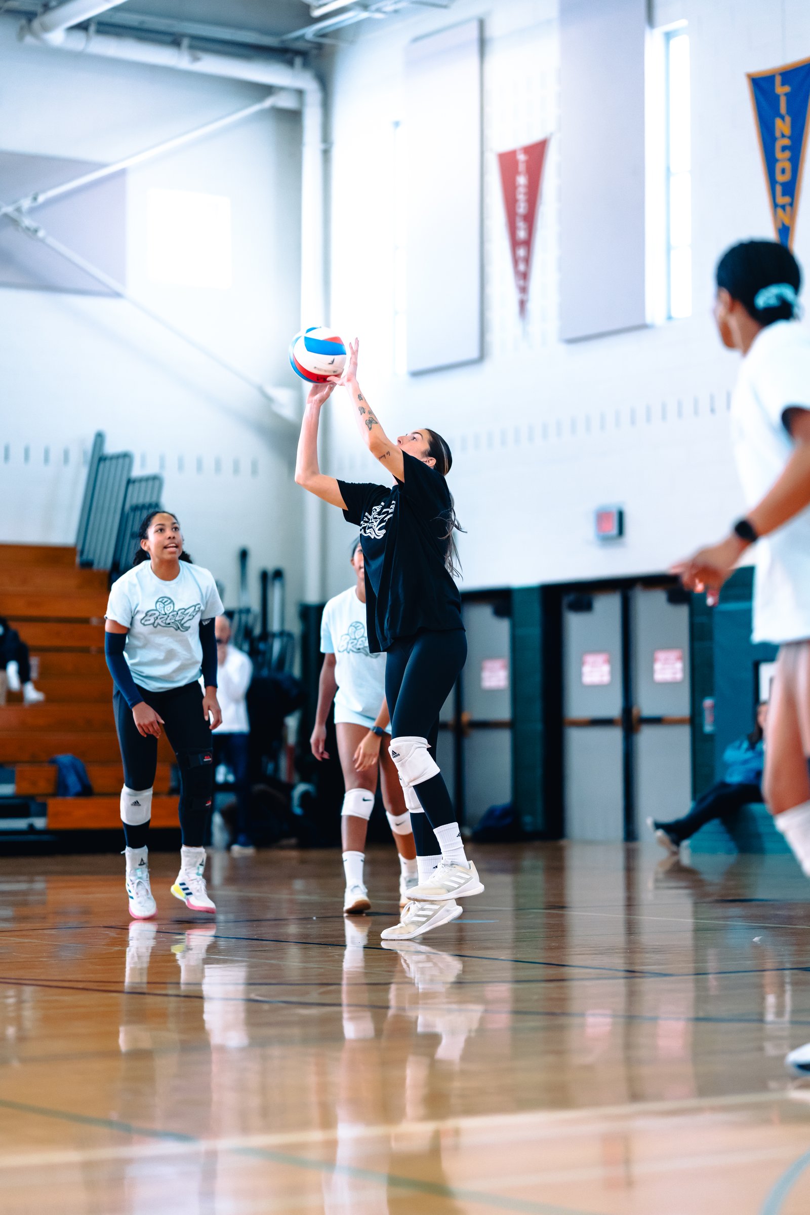 VLA – Chicago Frost vs 630 Breeze - Feb 22