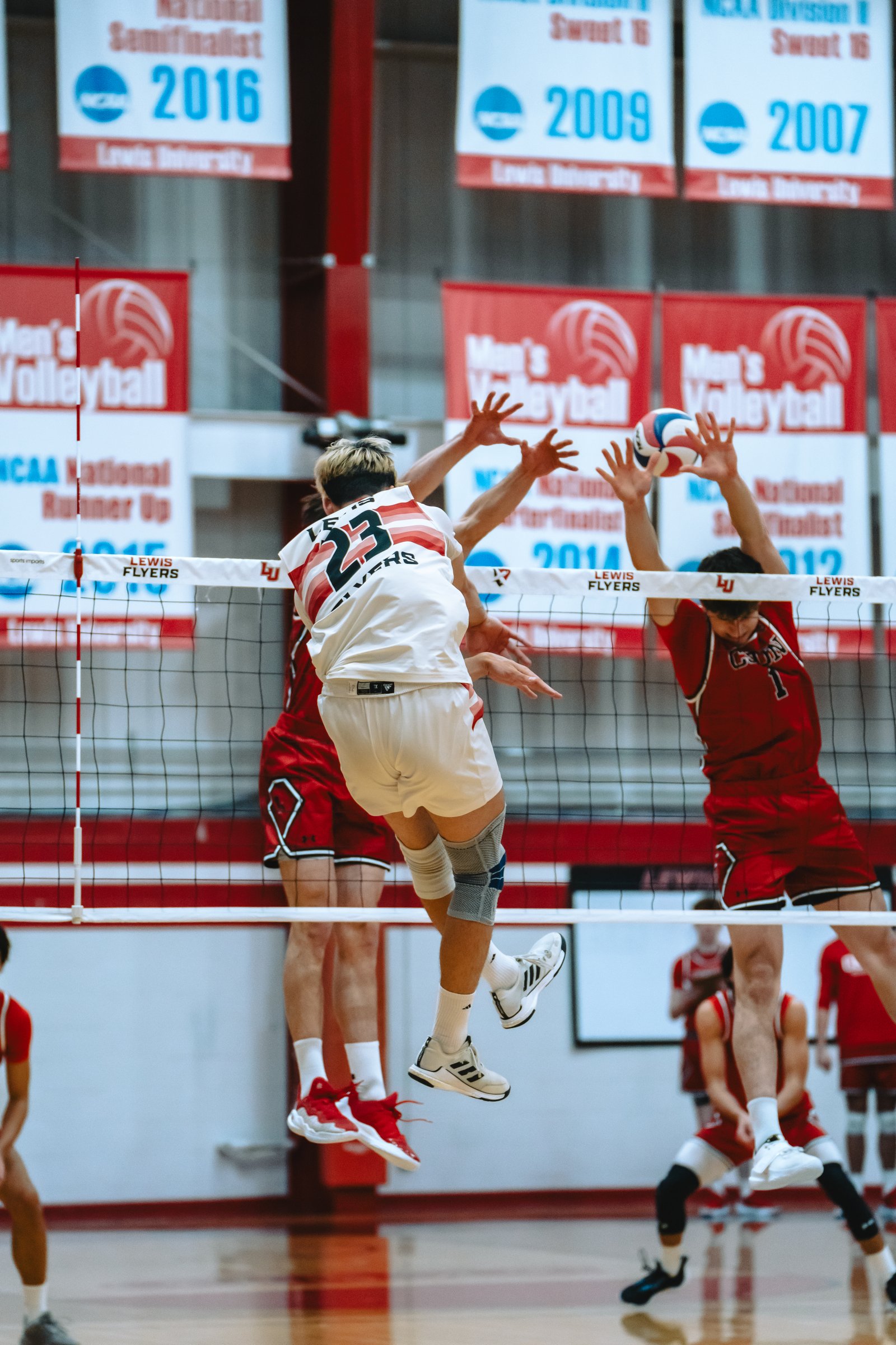 Lewis Flyers vs CSUN