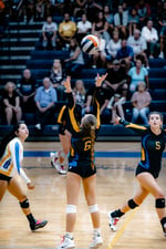 Tz9JN83