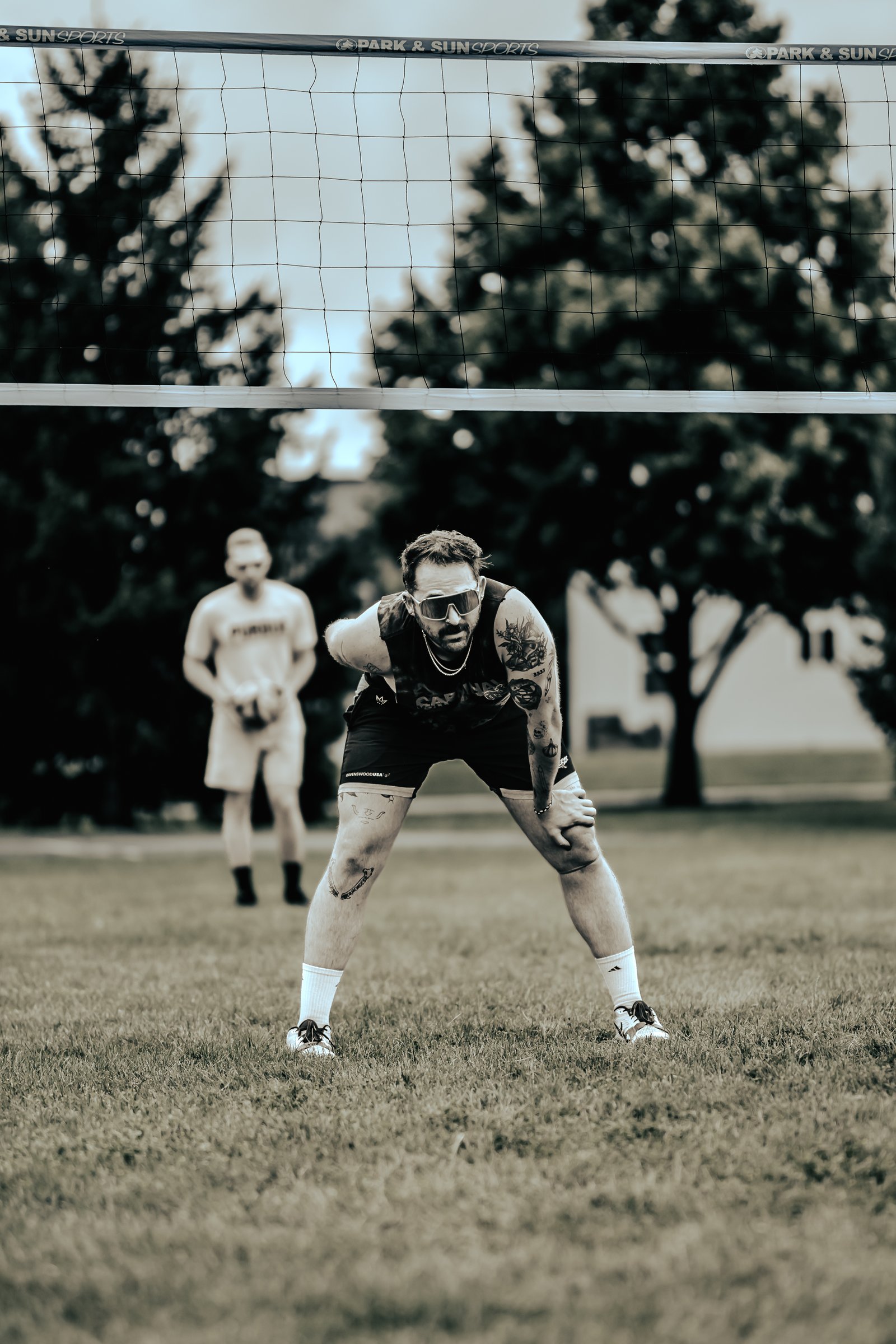 Bell Pepper Open – Official Gallery - Jan 1