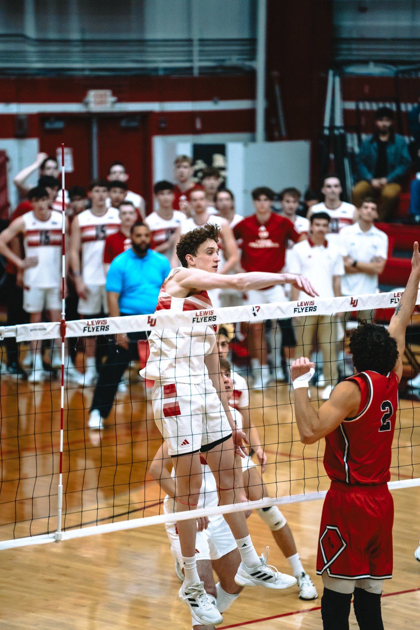 Lewis Flyers vs CSUN