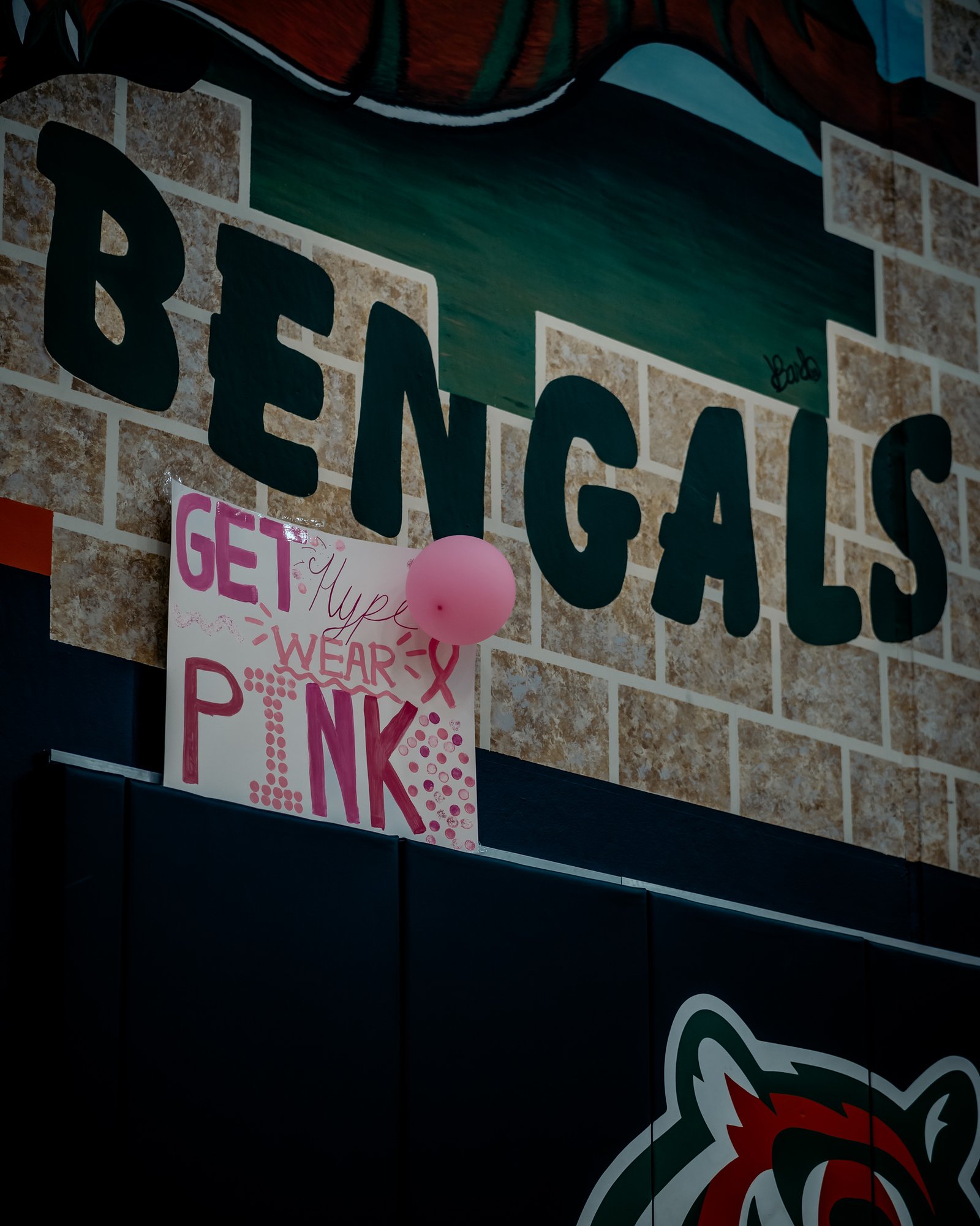 PEHS Girls VB - Dig Pink