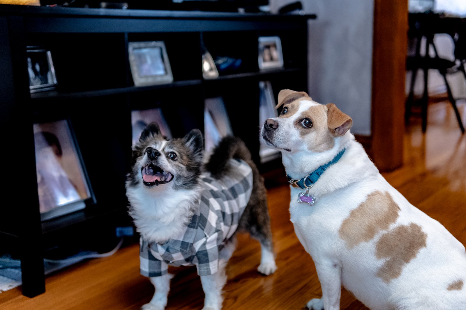 Bruno & Beni - Sep 9
