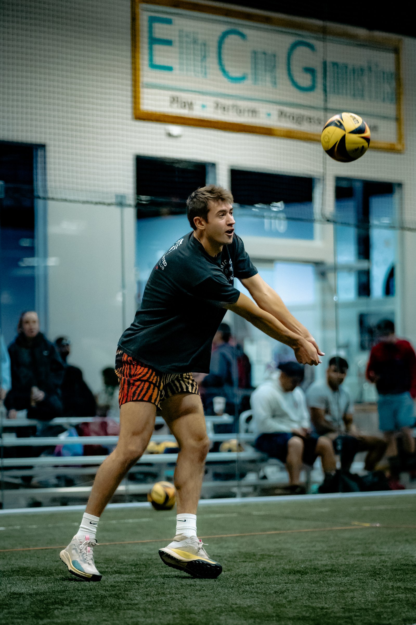 Players Sports Winter Grass Luau