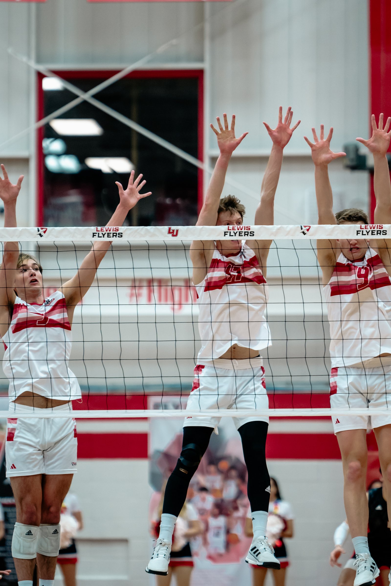 2024 Men's VB - Lewis vs Lindenwood