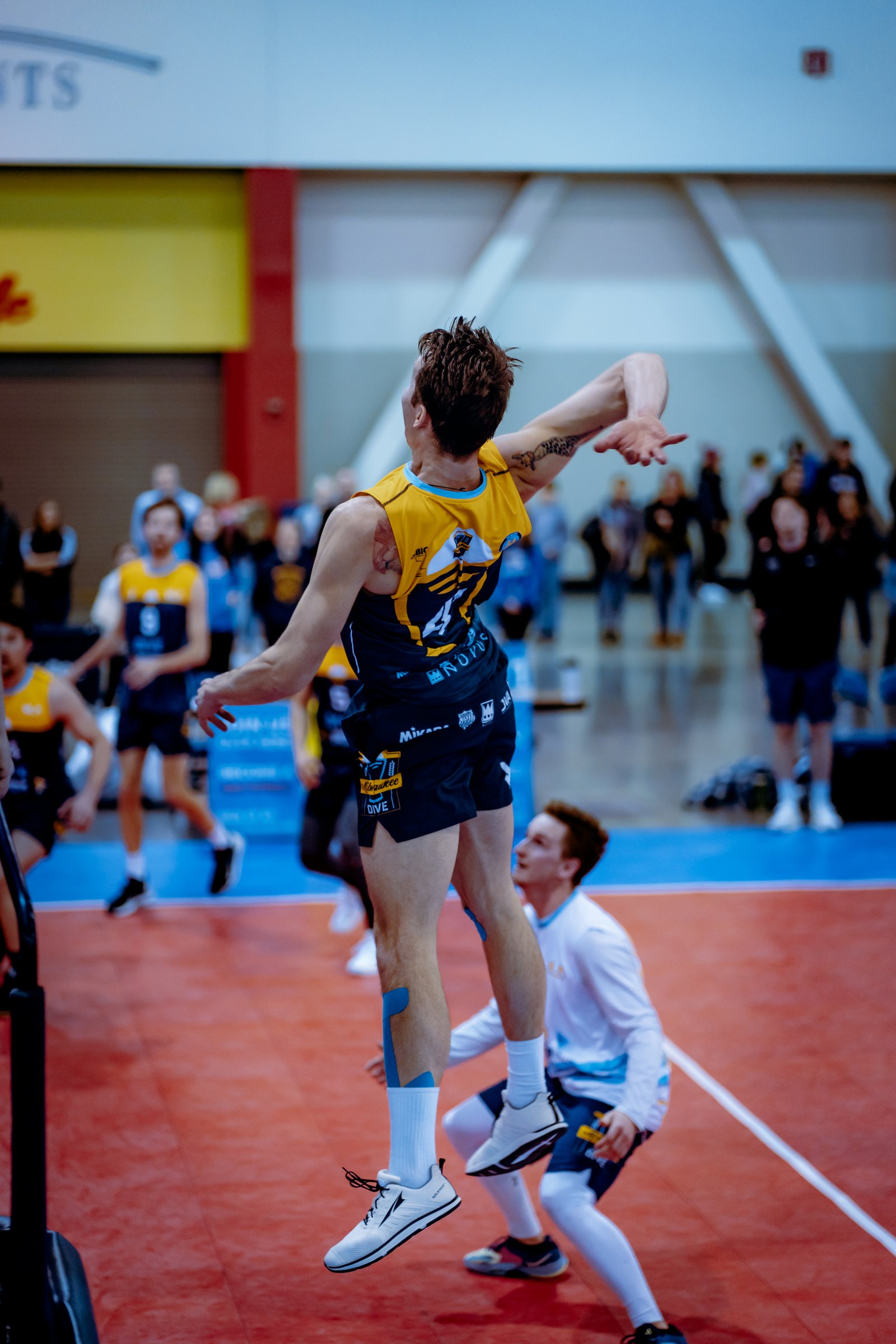 VLA Chicago Icemen vs Milwaukee Dive