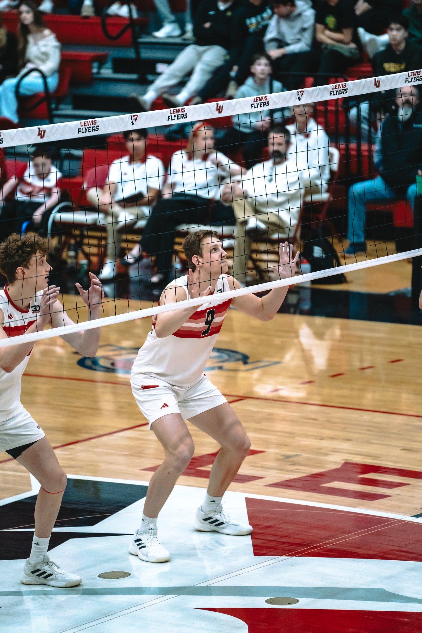 Lewis Flyers vs CSUN