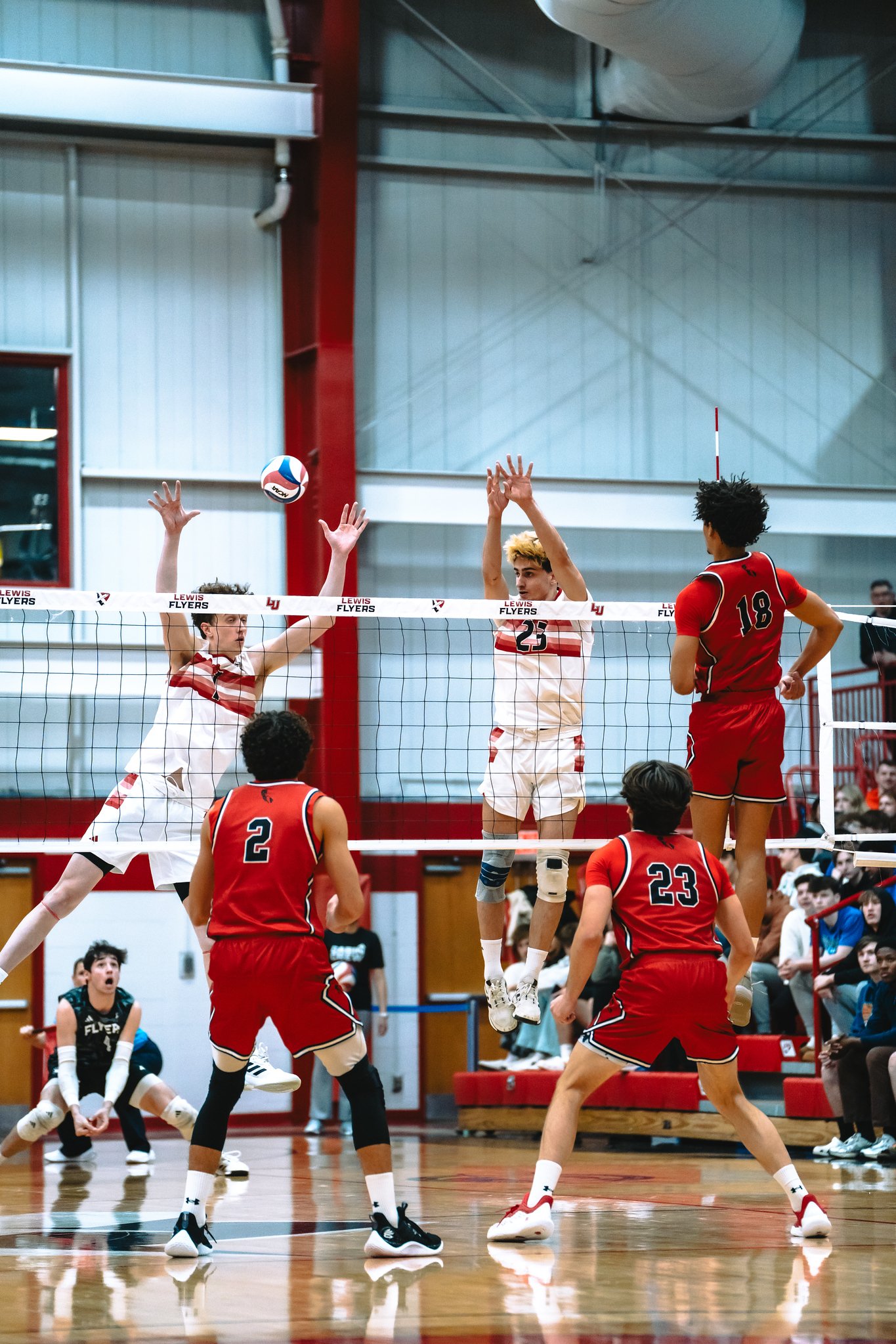 Lewis Flyers vs CSUN