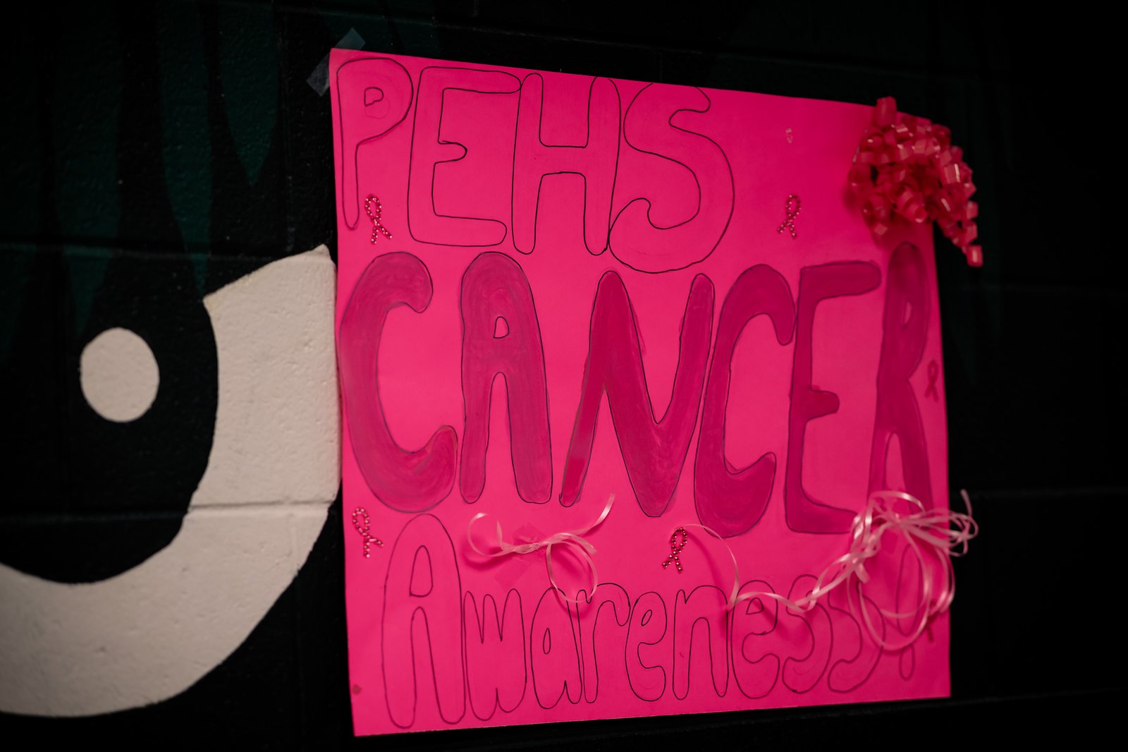PEHS Girls VB - Dig Pink