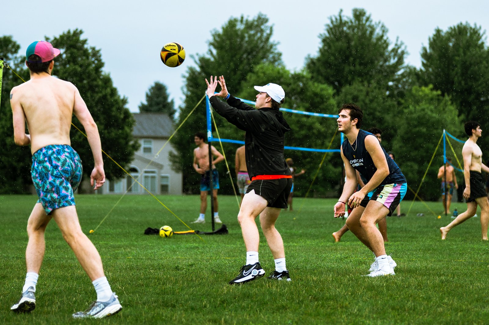 Bell Pepper Open – Official Gallery - Jan 1