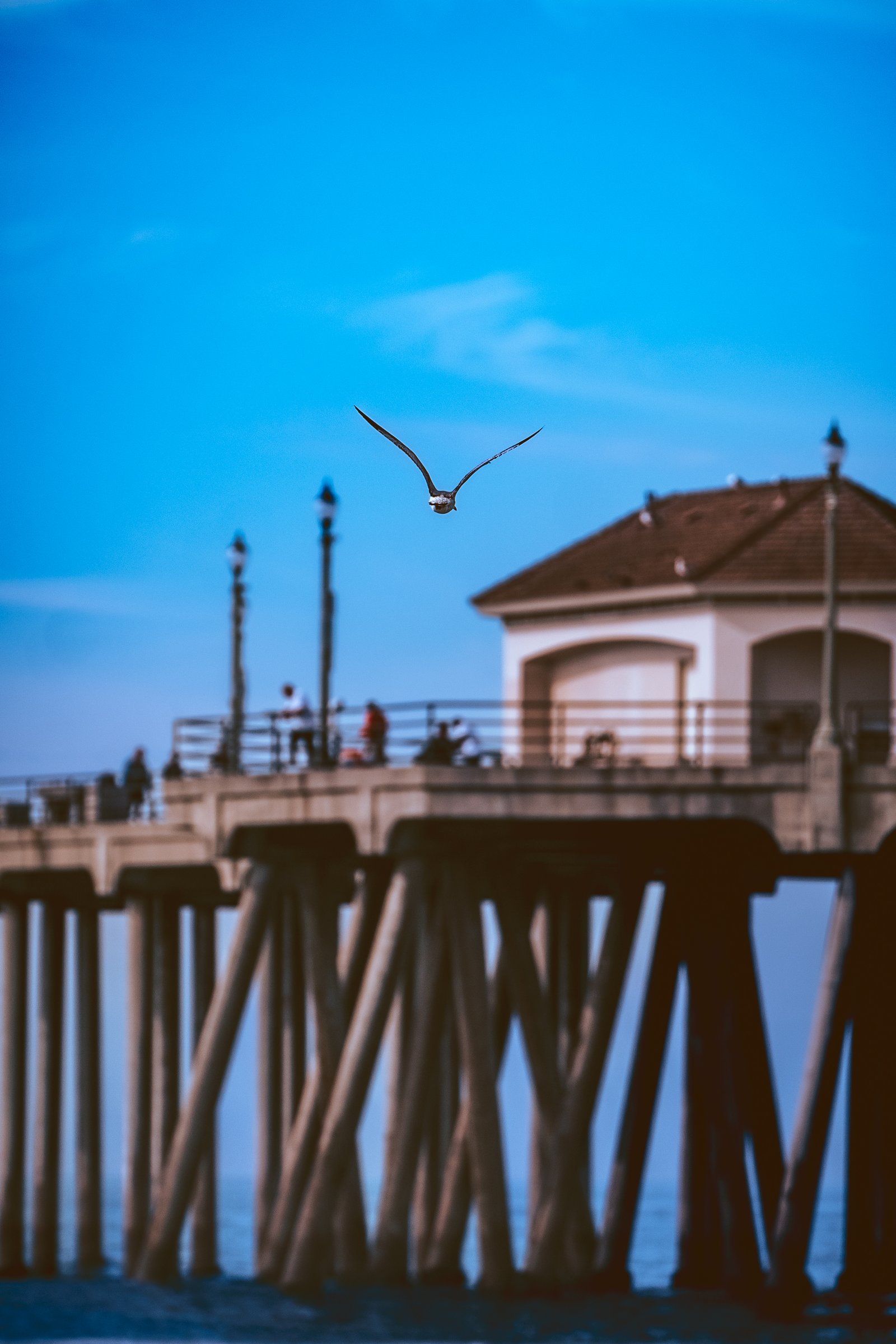 Huntington Beach Pier - Nov 2