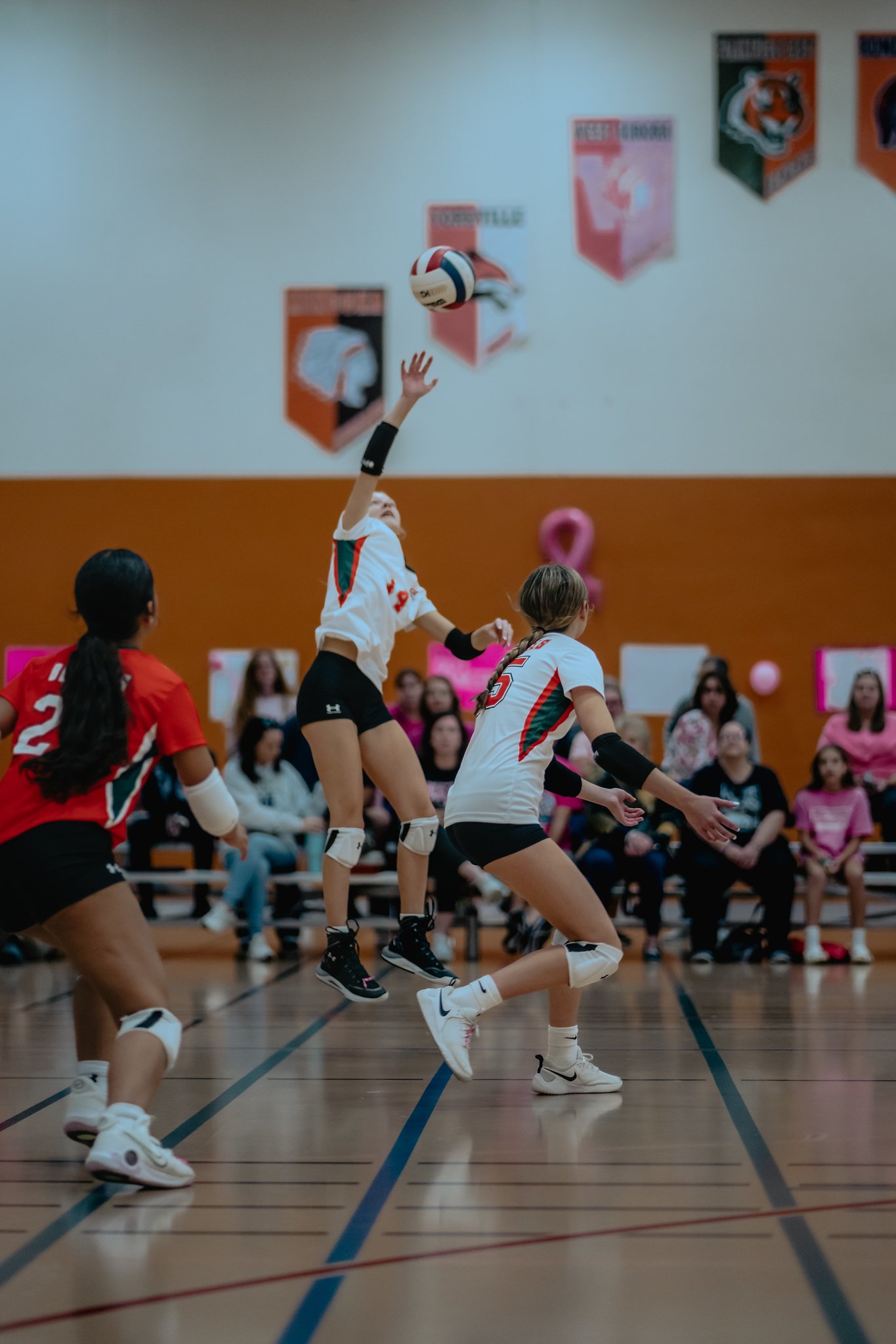 PEHS Girls VB - Dig Pink