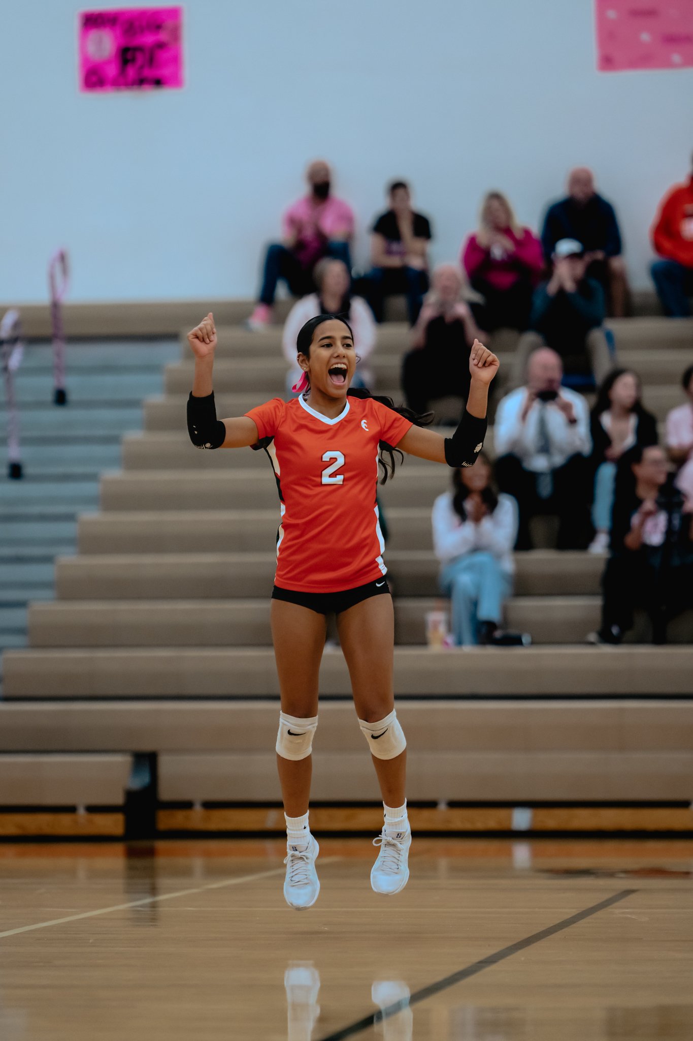 PEHS Girls VB - Dig Pink