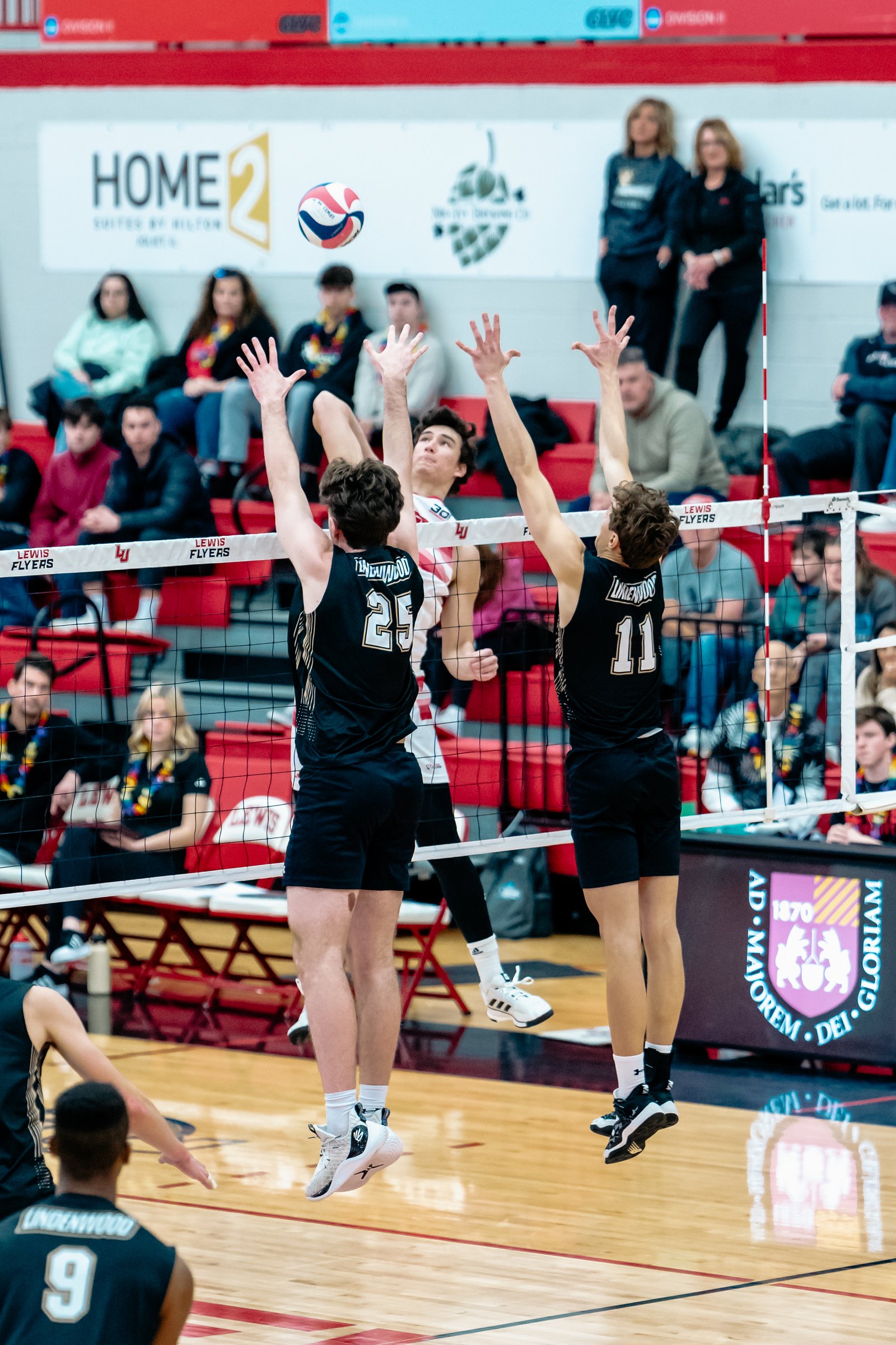2024 Men's VB - Lewis vs Lindenwood